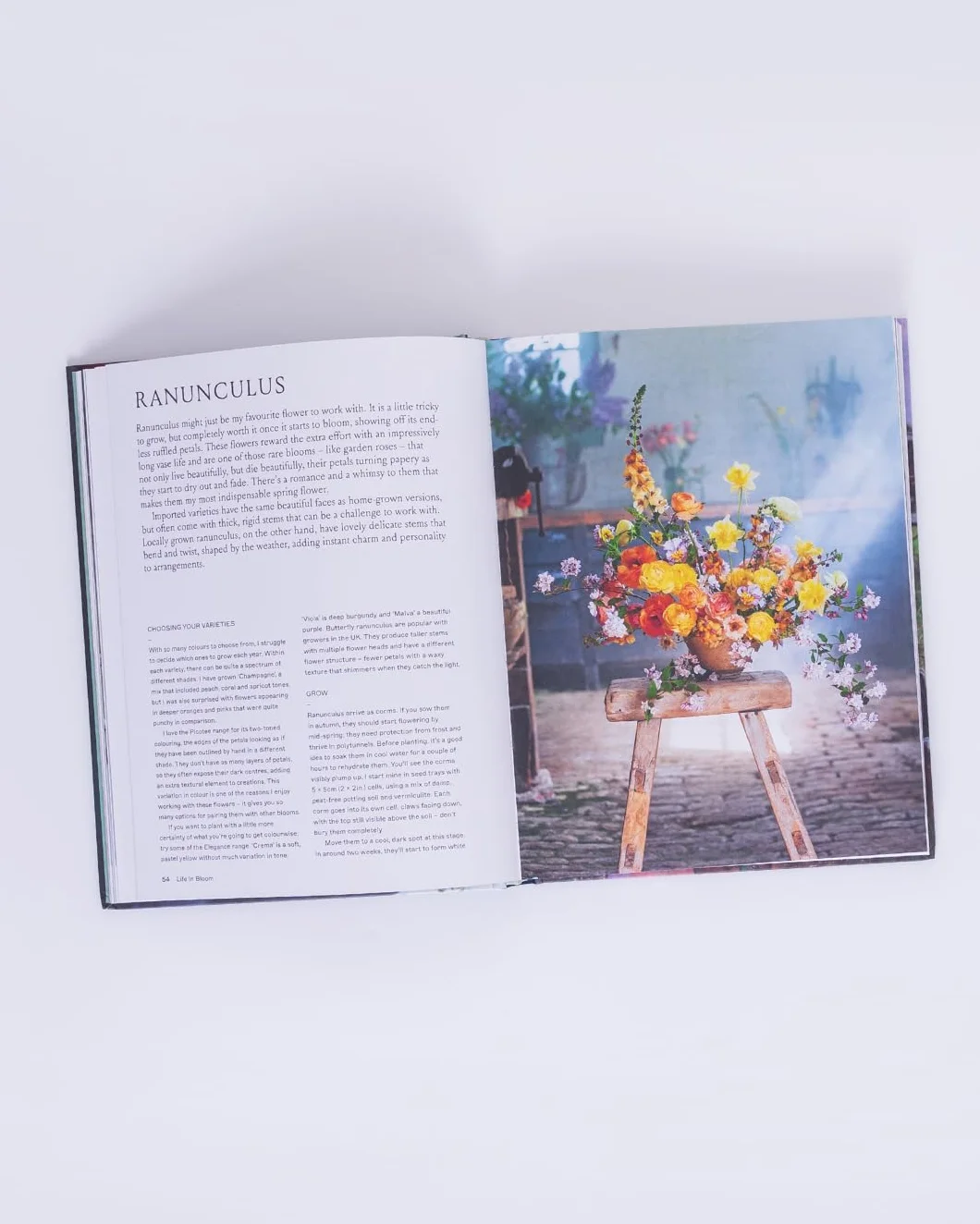 Life in Bloom: Grow, Gather & Arrange Seasonal Flowers
