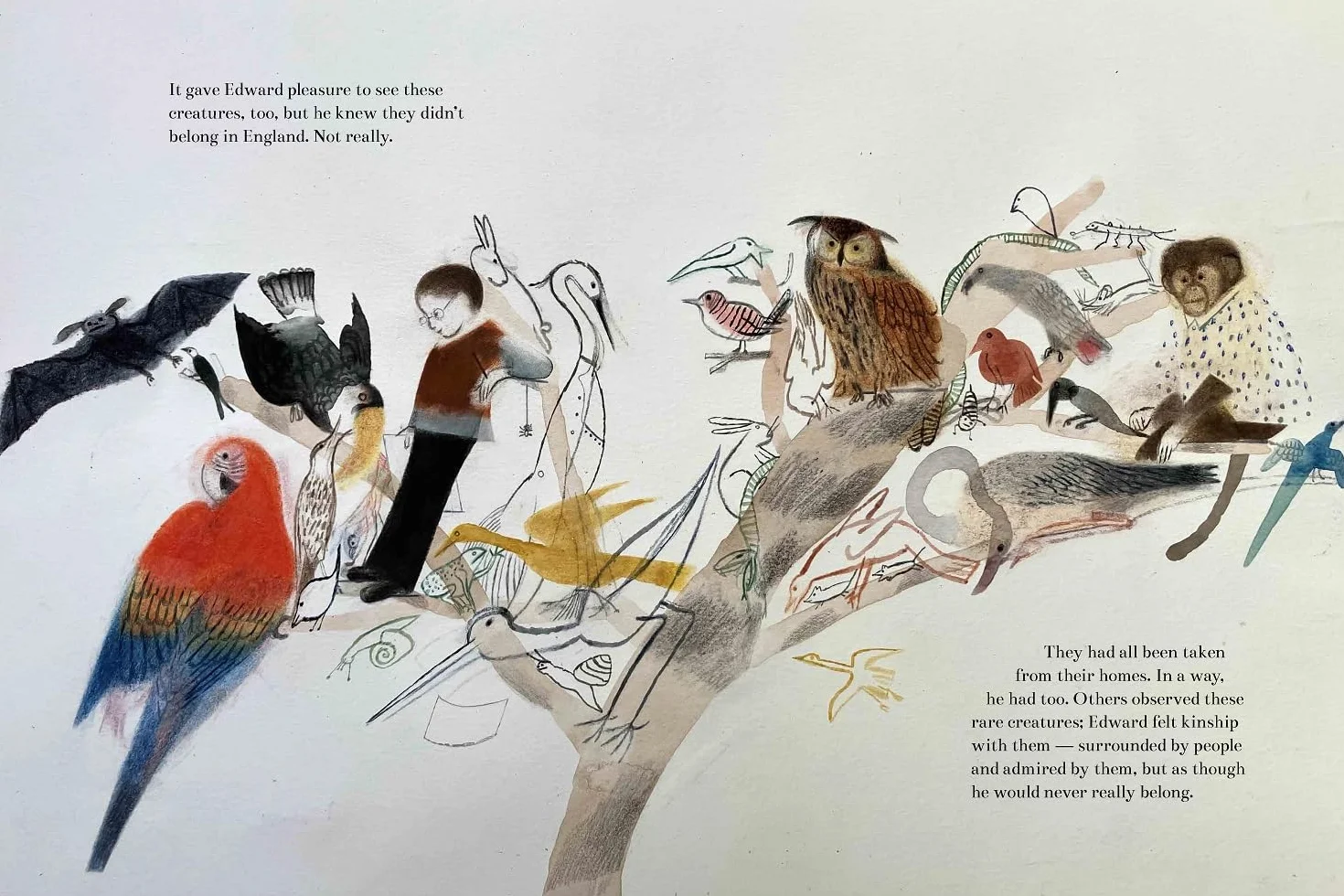 The Boy Who Became a Parrot: A Foolish Biography of Edward Lear, Who Invented Nonsense