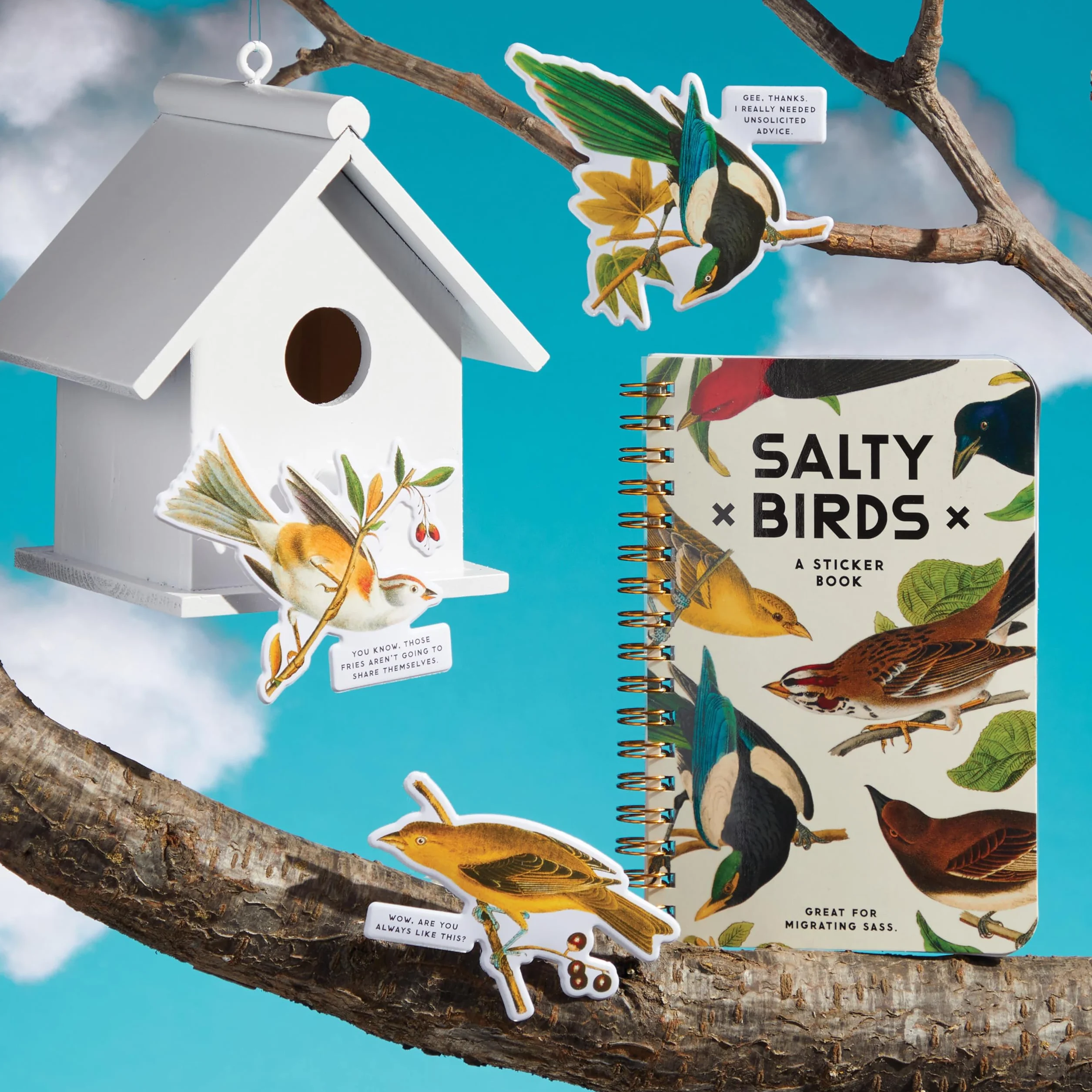 Salty Birds Sticker Book