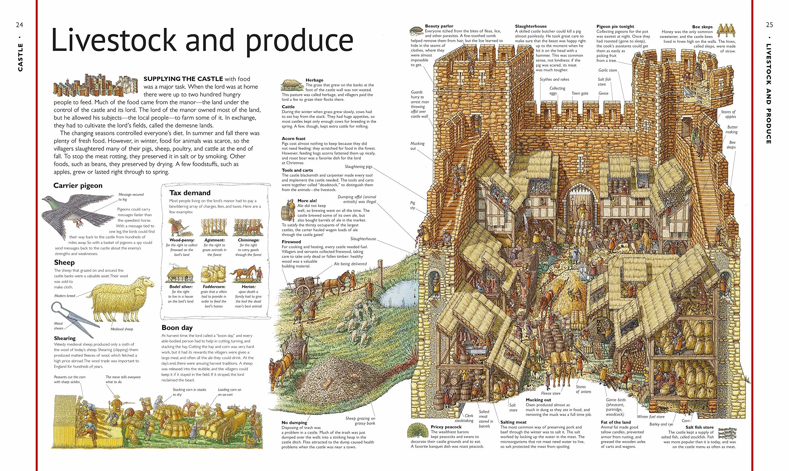 Stephen Biesty's Cross-Sections Castle