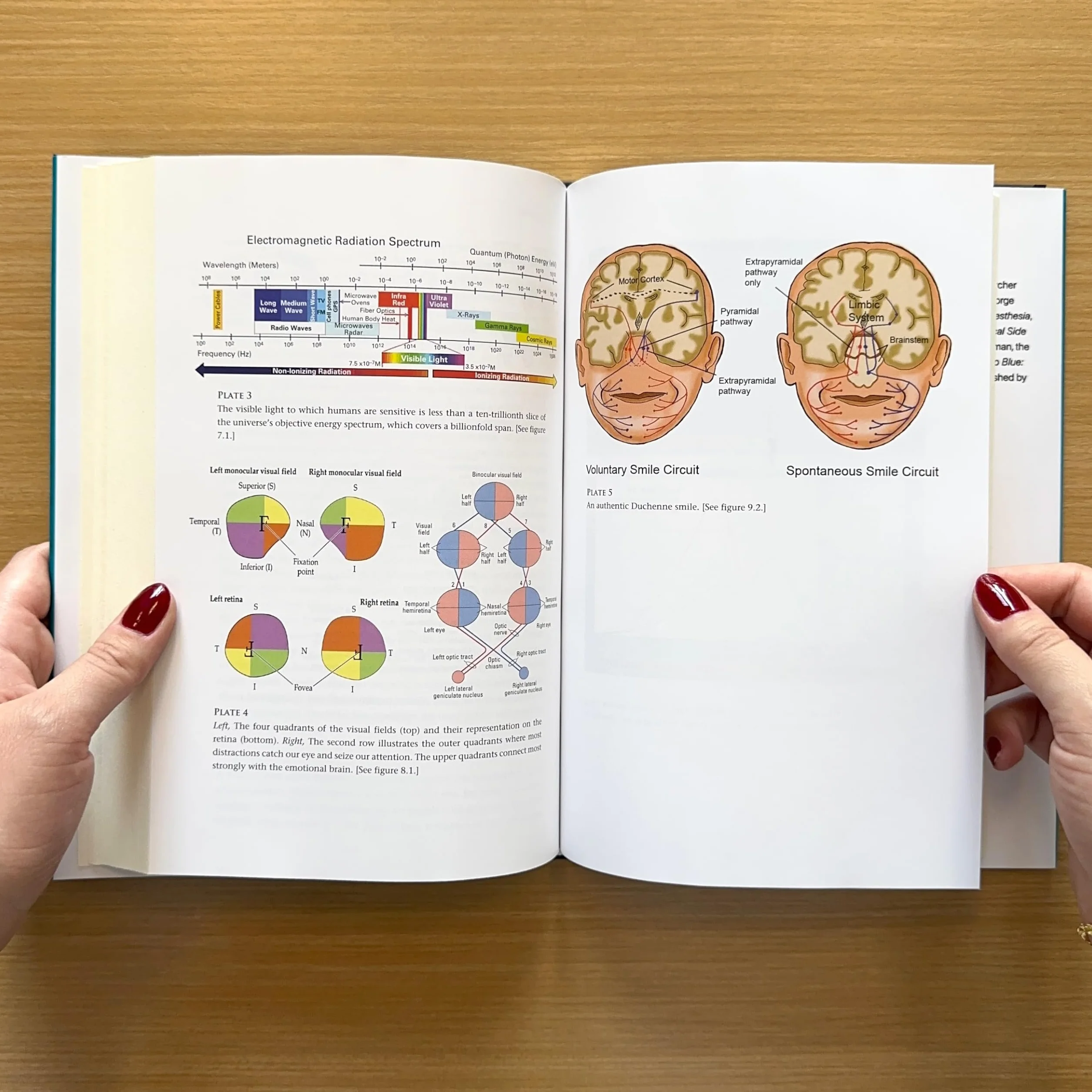 Your Stone Age Brain in the Screen Age: Coping with Digital Distraction and Sensory Overload