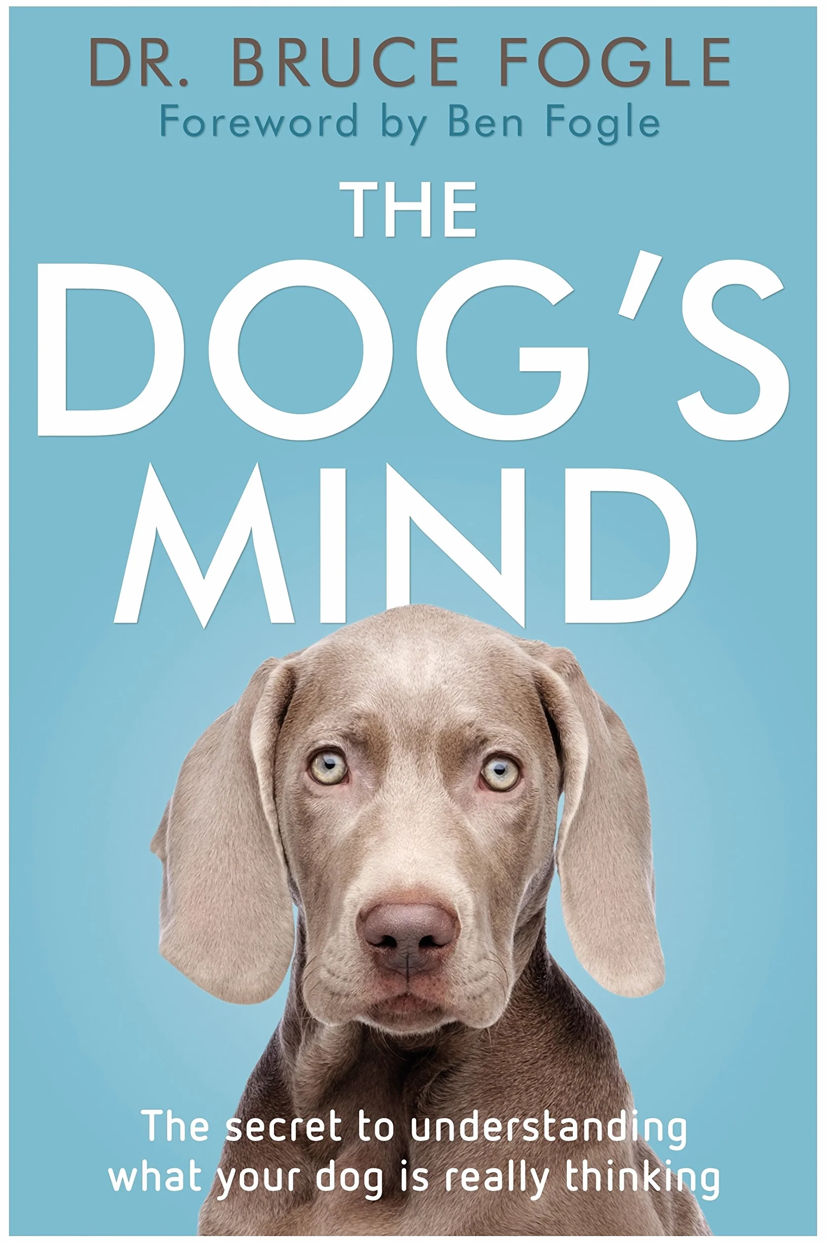 Dogs Mind
