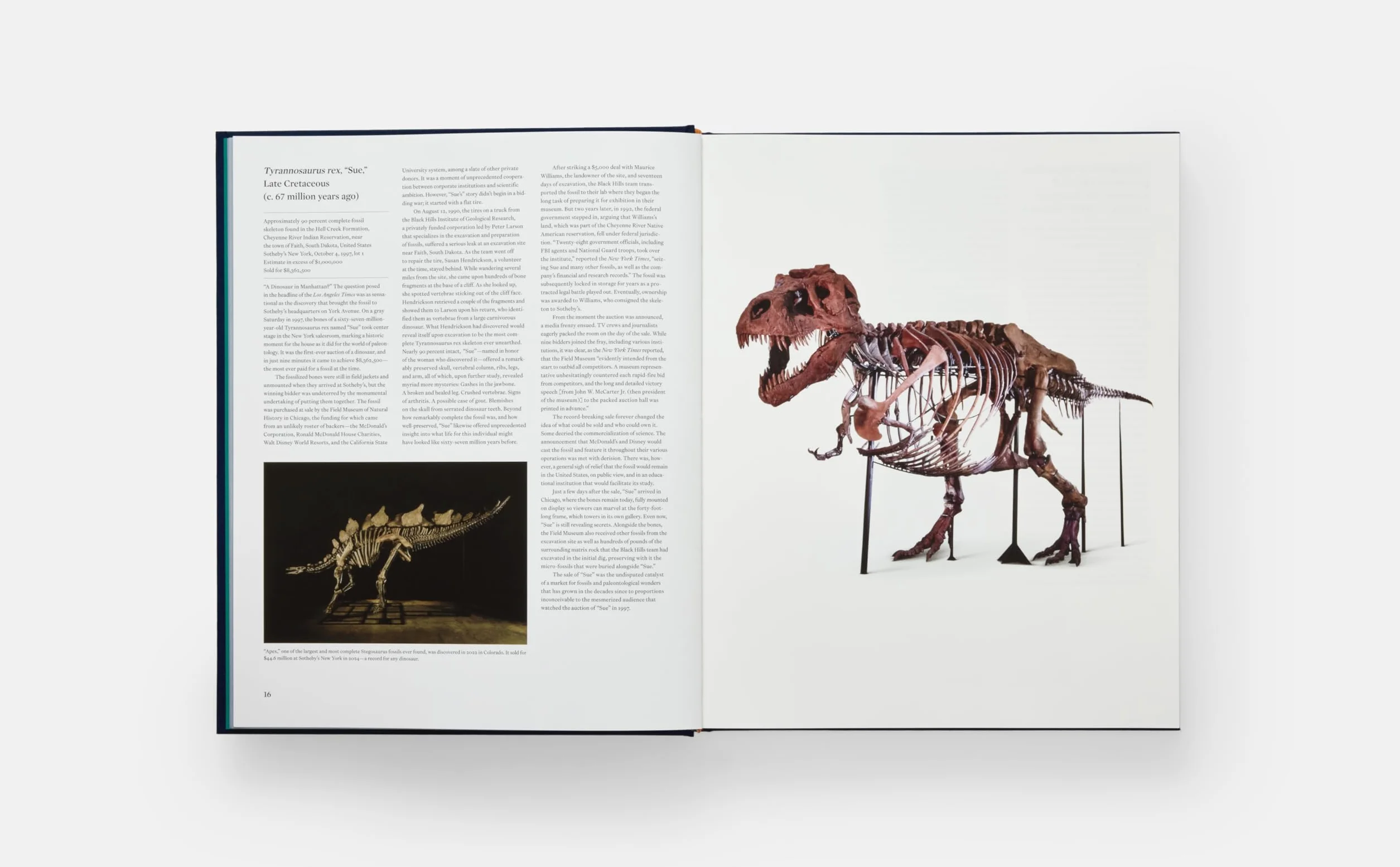 Icons: 100 extraordinary objects from Sotheby's history