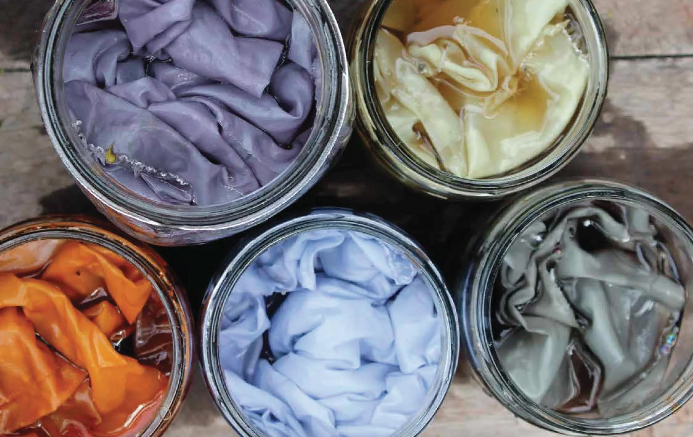 Natural Palettes: Inspiration from Plant-Based Color