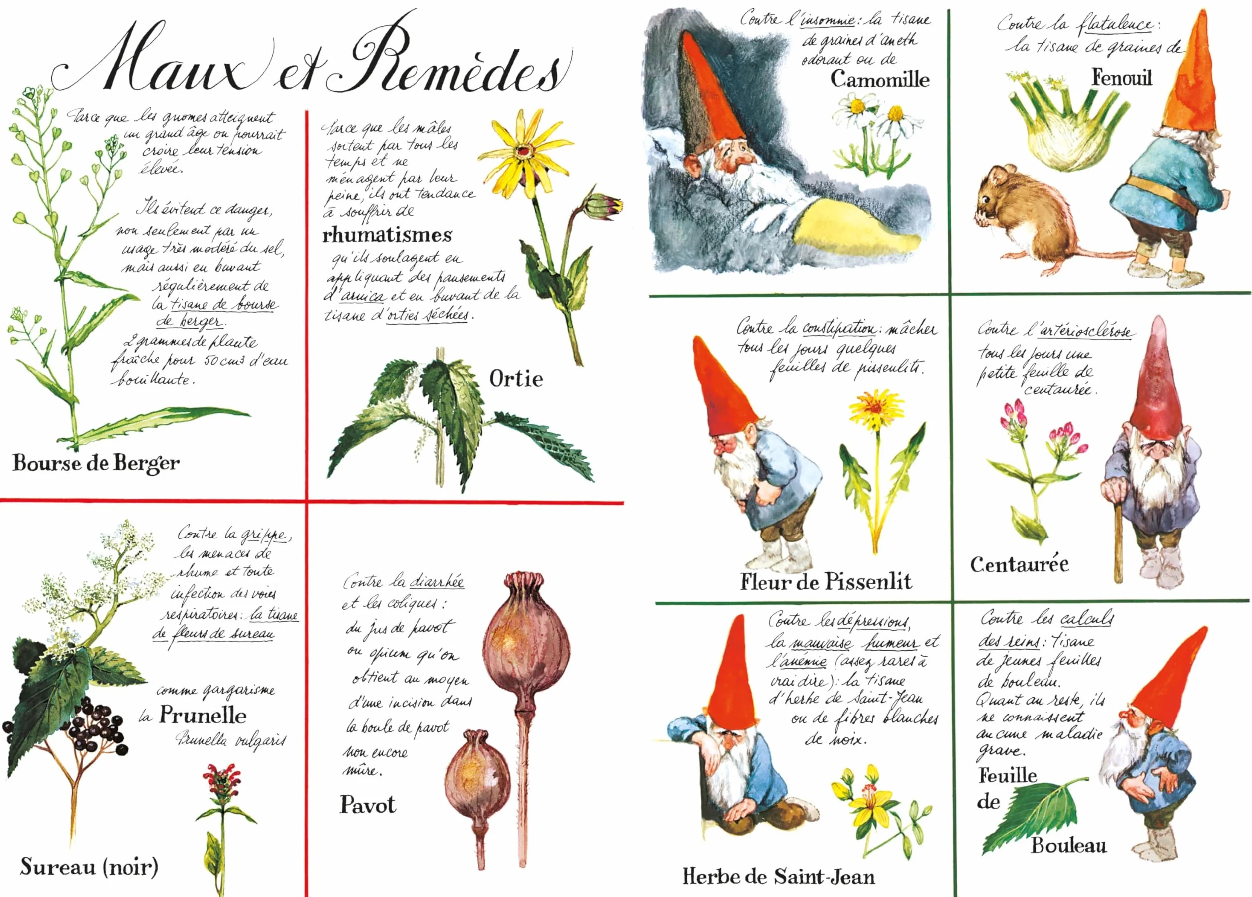Les Gnomes