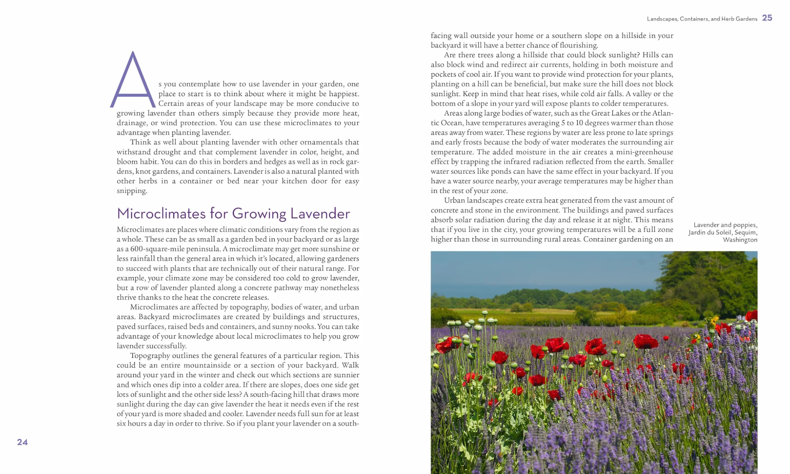 The Lavender Lover's Handbook: The 100 Most Beautiful and Fragrant Varieties for Growing, Crafting, and Cooking
