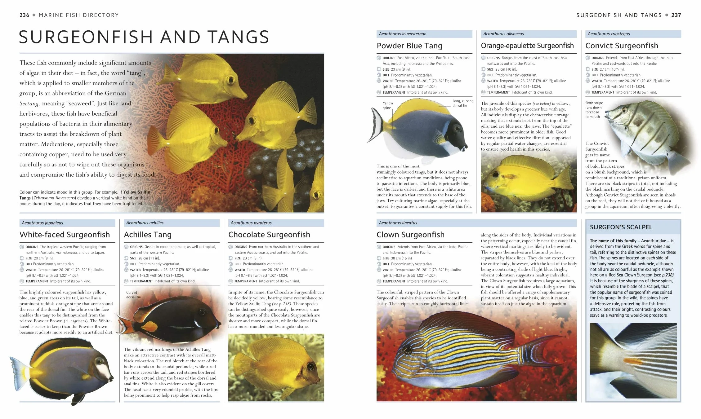 Encyclopedia of Aquarium and Pond Fish