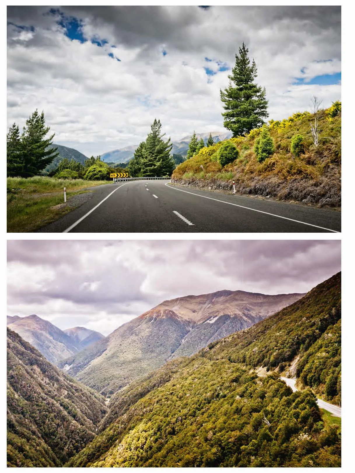 Curves New Zealand Volume 22