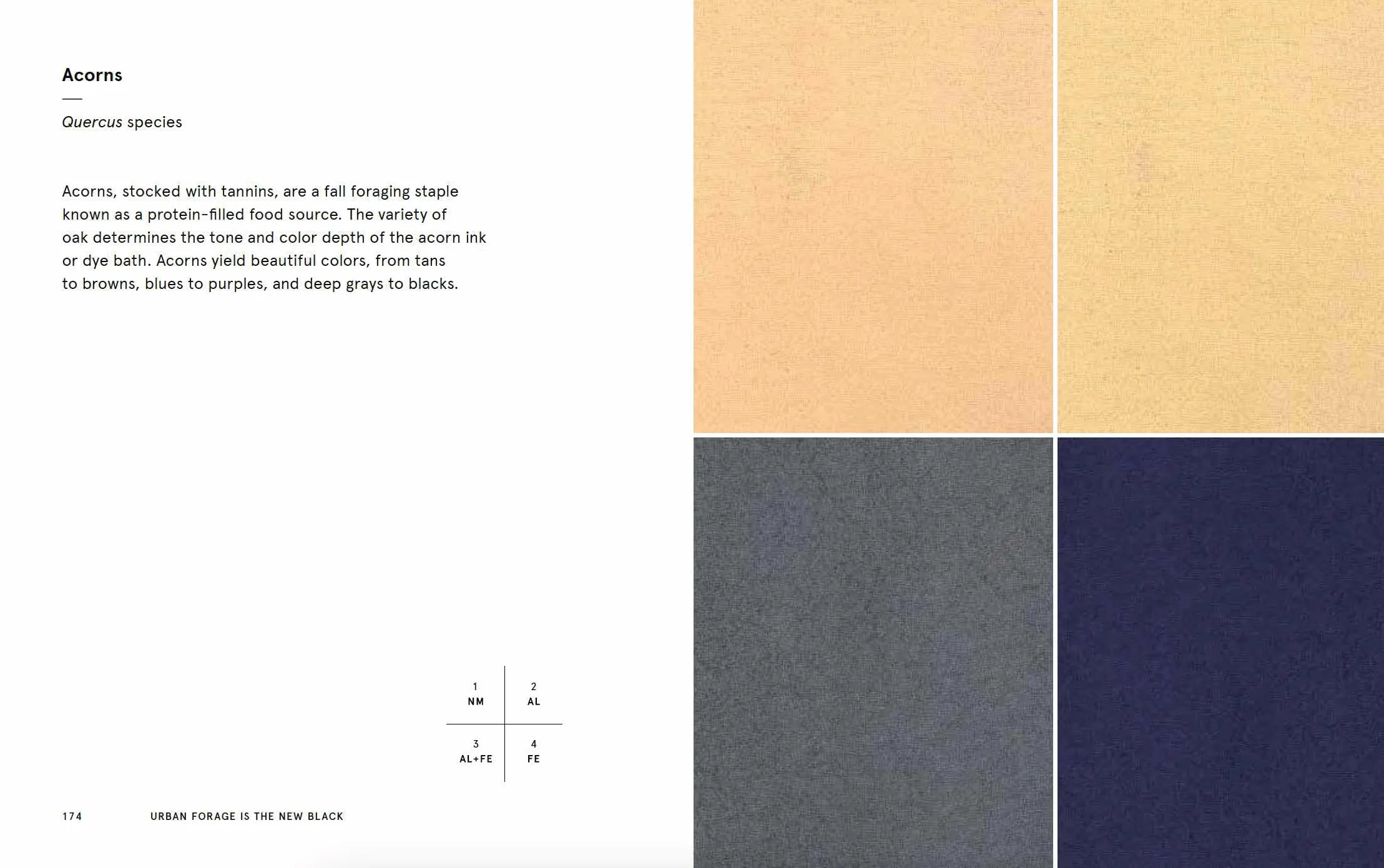 Natural Palettes: Inspiration from Plant-Based Color