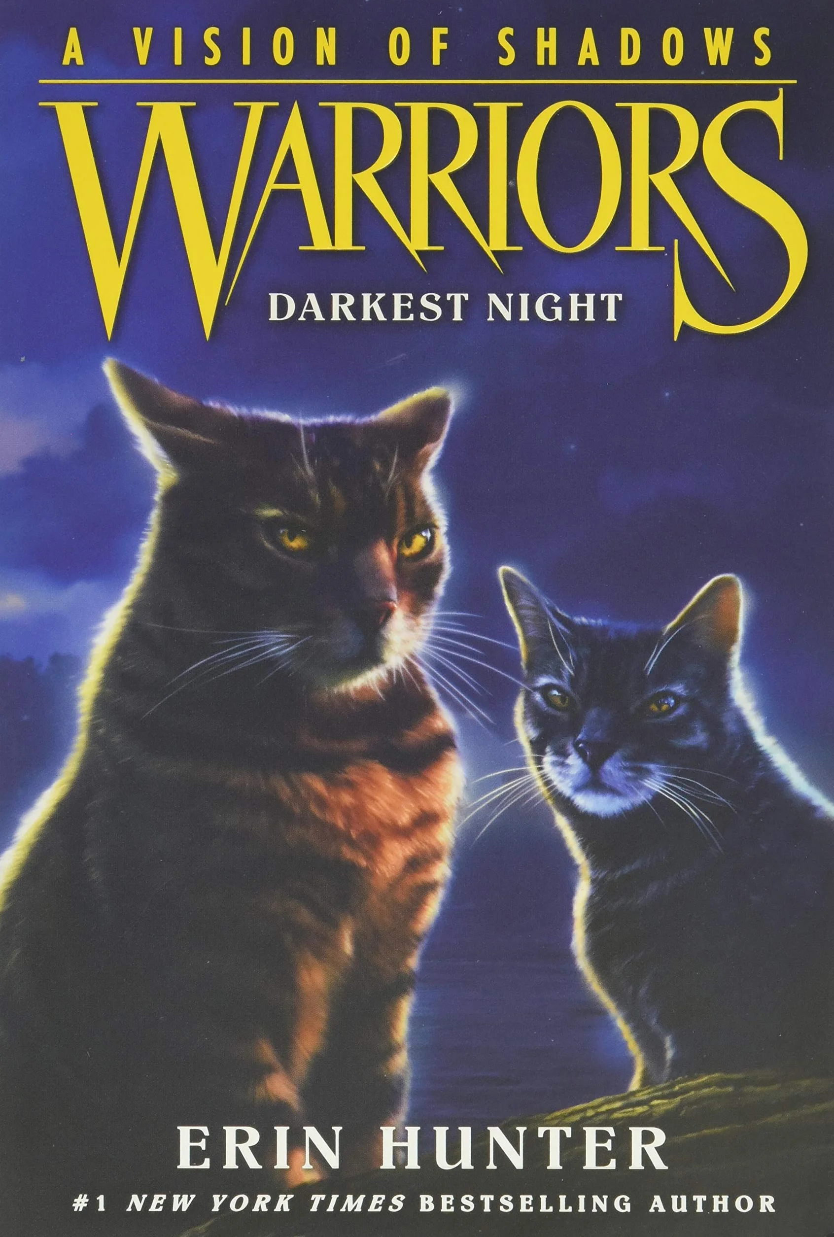Warriors: A Vision of Shadows: Darkest Night 4