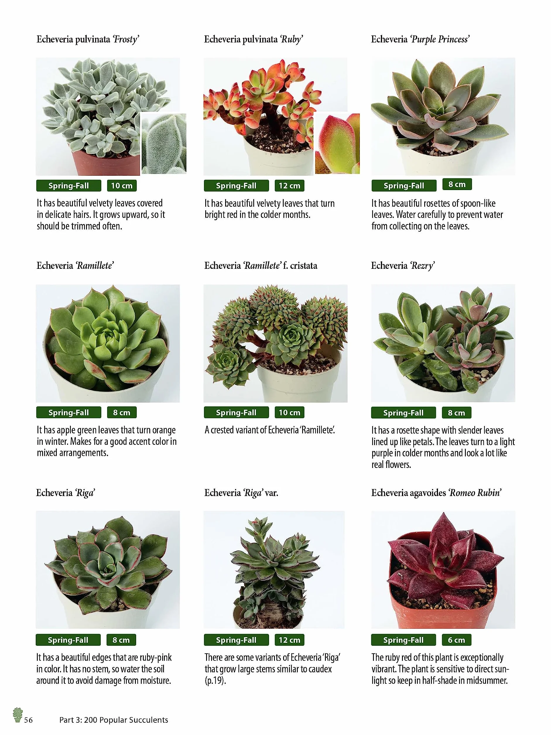Growing Succulents: A Pictorial Guide (Over 1,500 Photos and 700 Plants)