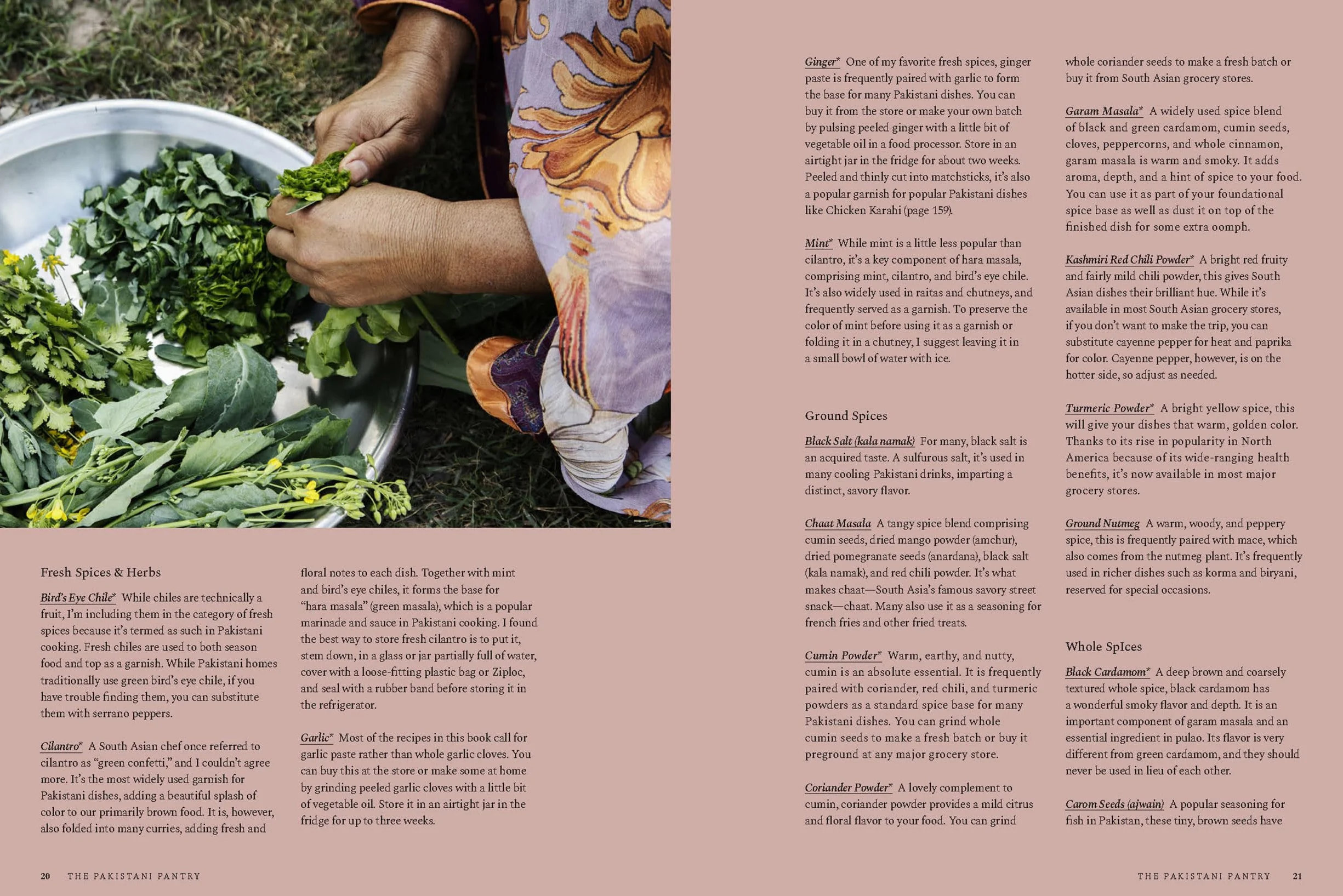 Pakistan: Recipes and Stories from Home Kitchens, Restaurants, and Roadside Stands
