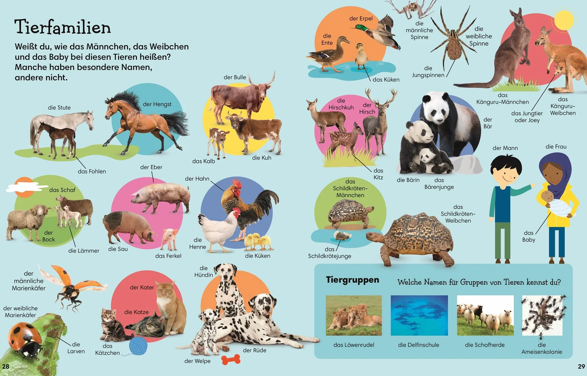 1000 erste Wörter. Natur: Mein Bildwörterbuch für den Kindergarten. Erster Wortschatz rund um das Thema Natur. Zur spielerischen Sprachförderung. Für Kinder ab 3 Jahren