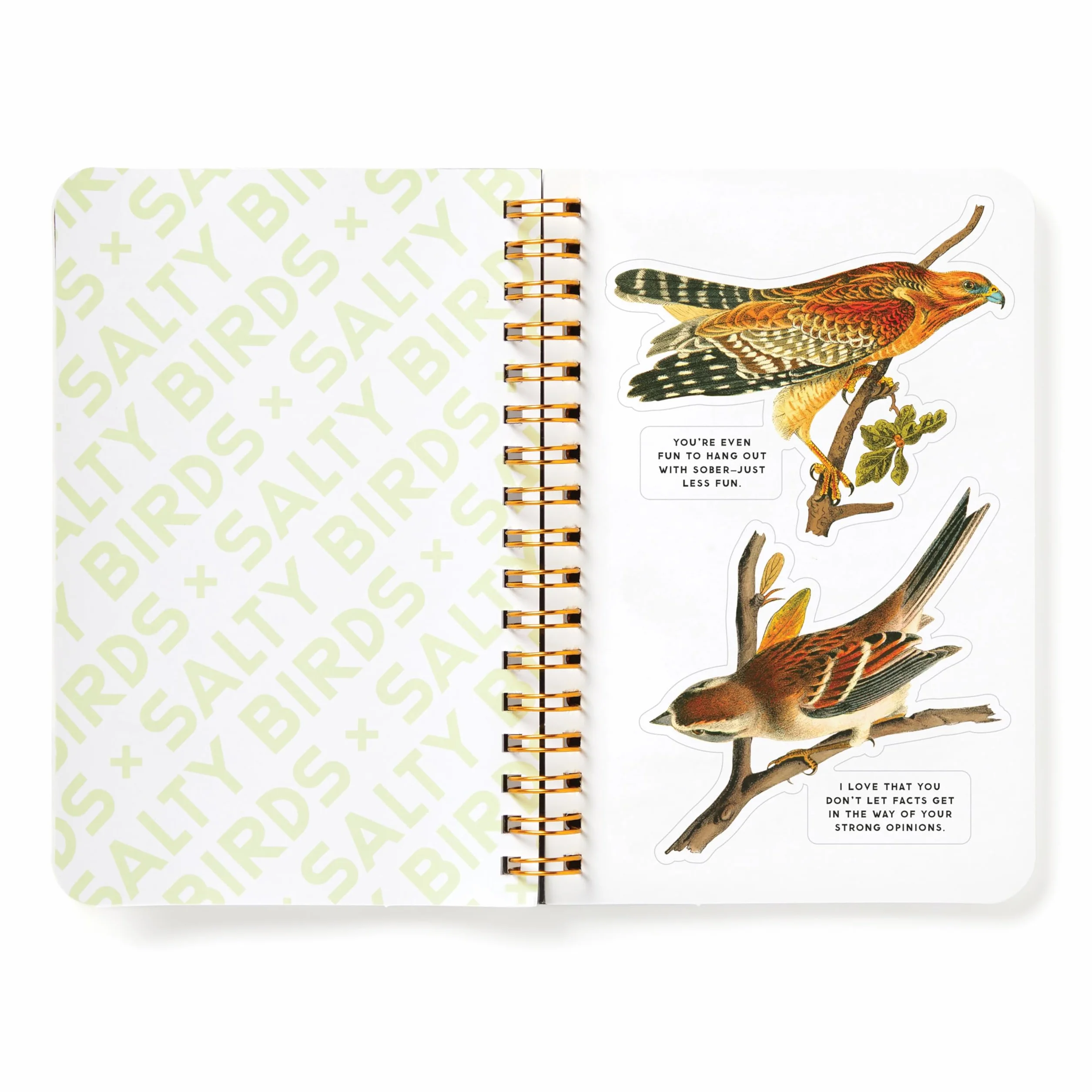 Salty Birds Sticker Book