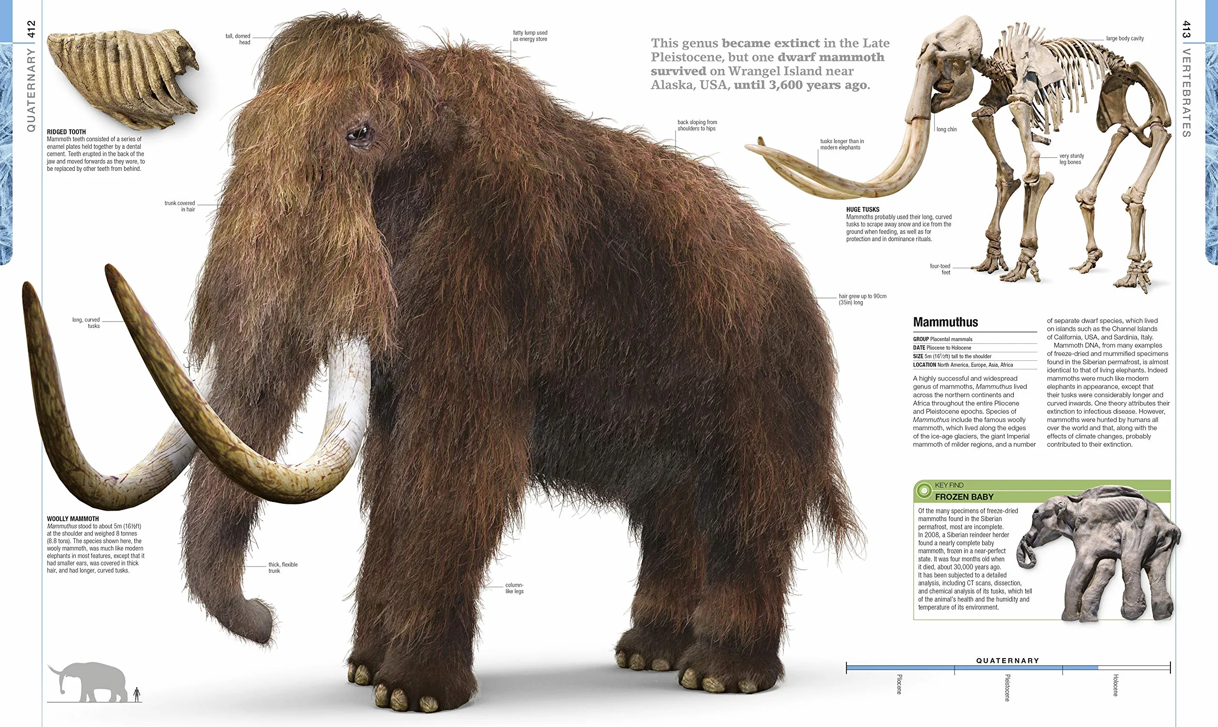 Dinosaurs and Prehistoric Life: Definitive Visual Guide