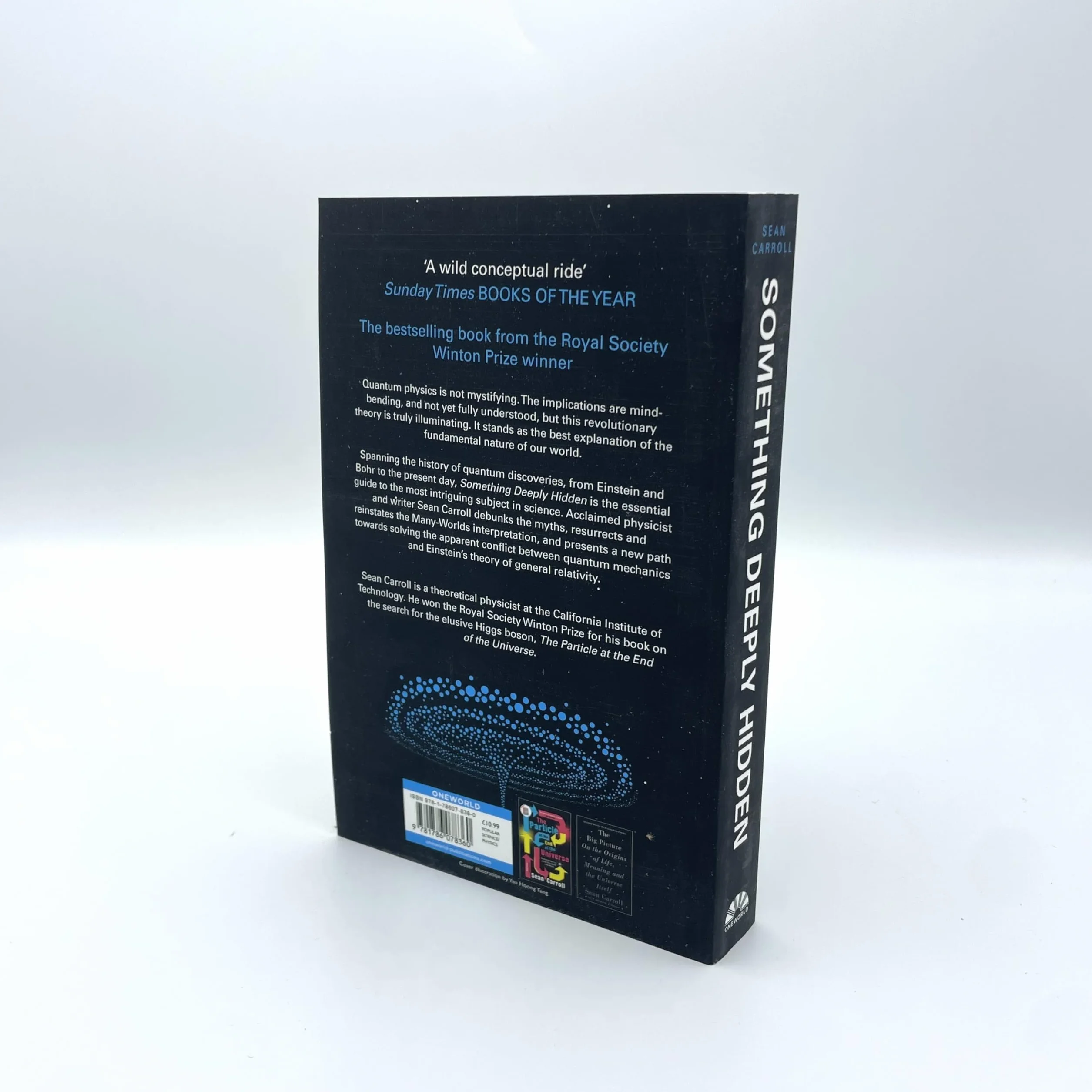 Something Deeply Hidden: Quantum Worlds and the Emergence of Spacetime