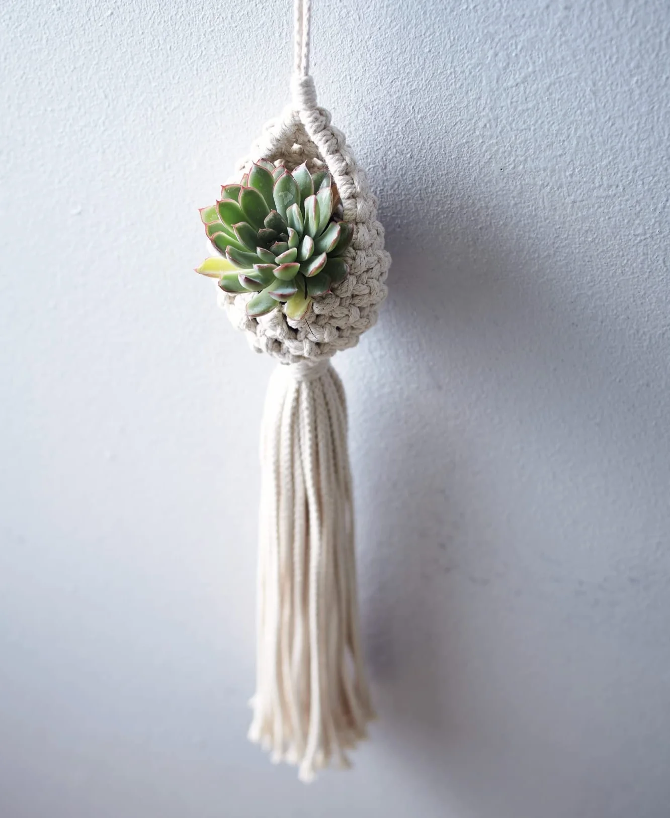 Makramee Blumenampeln kreativ.kompakt Einfache Knüpfprojekte