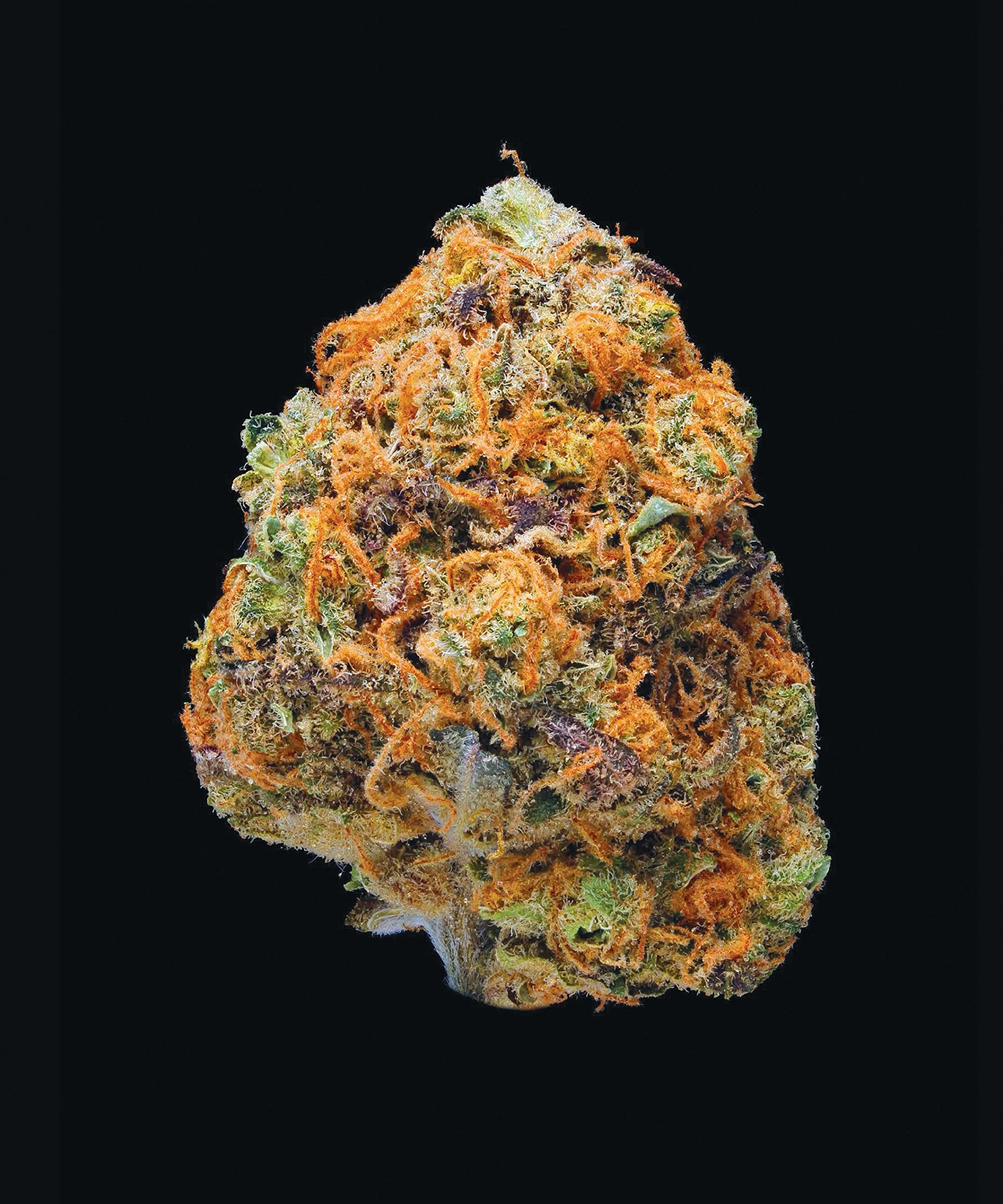 Green: A Field Guide to Marijuana: (Books about Marijuana, Guide to Cannabis, Weed Bible)