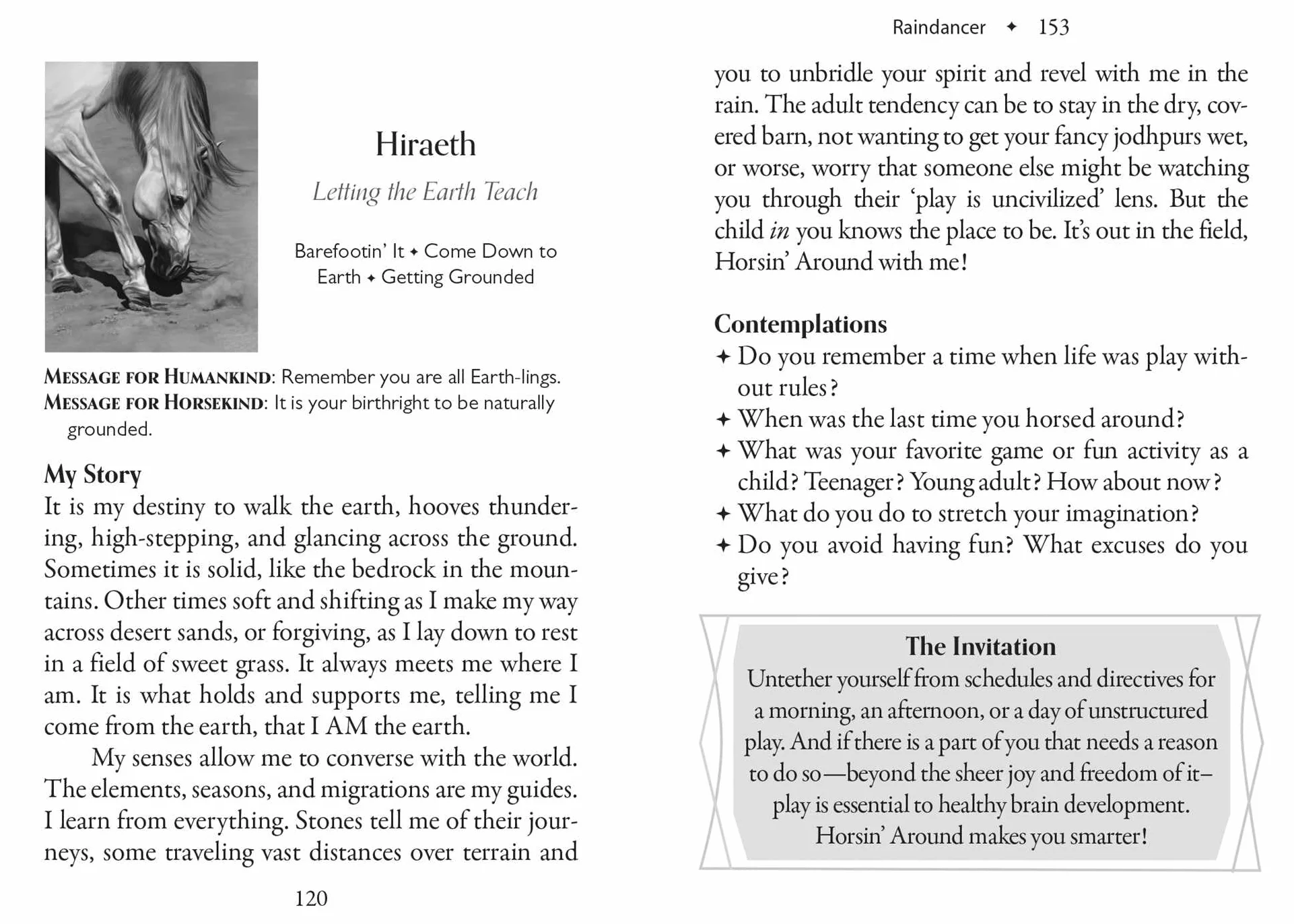 The Council of Horses Oracle: A 40-Card Deck and Guidebook