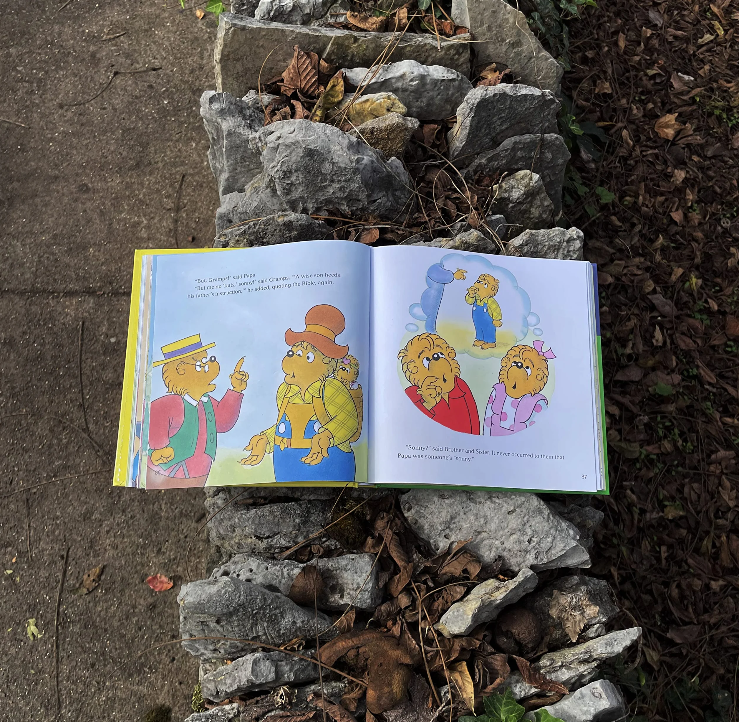 The Berenstain Bears Values and Virtues Treasury: 8 Books in 1