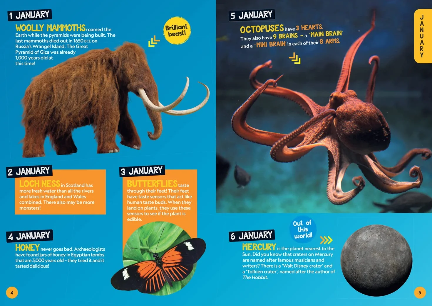 A Fact for Every Day of the Year: 365 facts to make you say WOW!