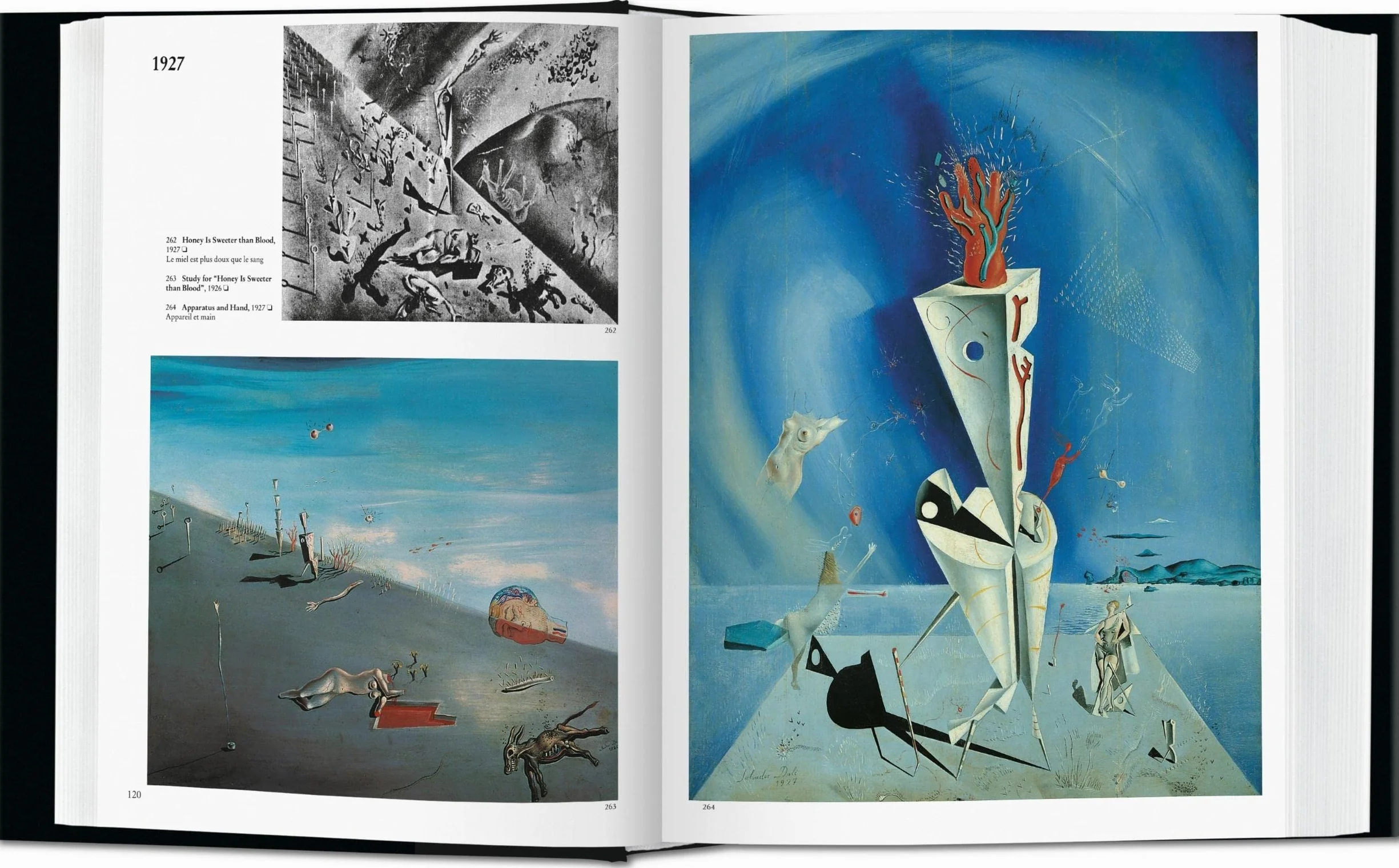 KO-DALI -ANGLAIS-: The Paintings