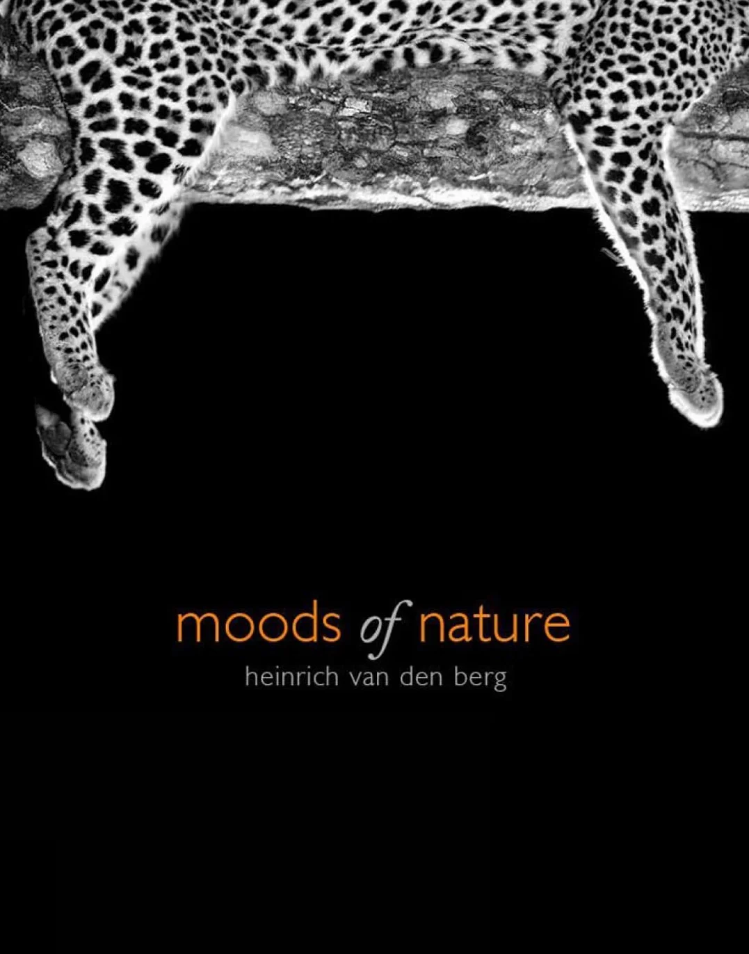 Moods of Nature: heinrich van den berg