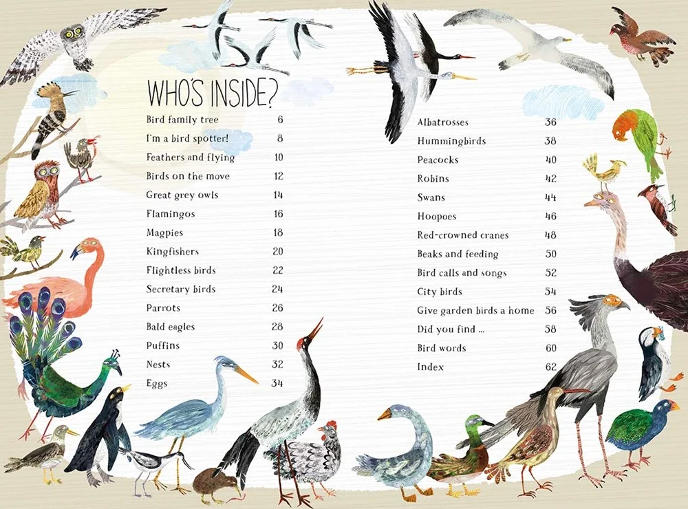 The Big Book of Birds: 0