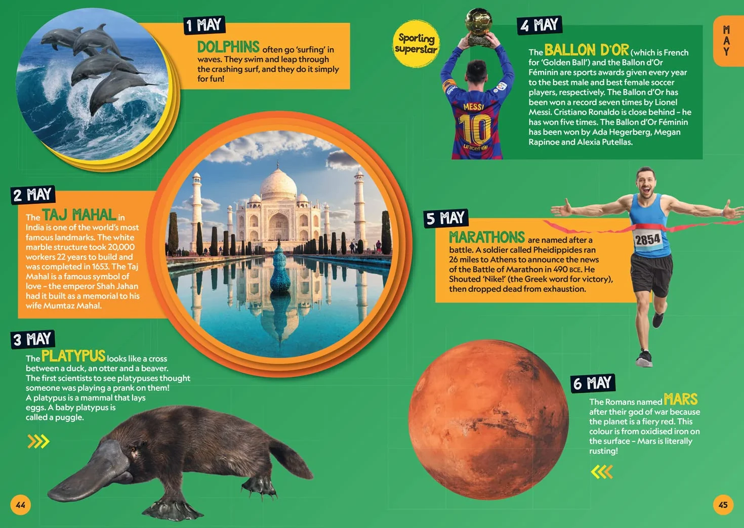 A Fact for Every Day of the Year: 365 facts to make you say WOW!