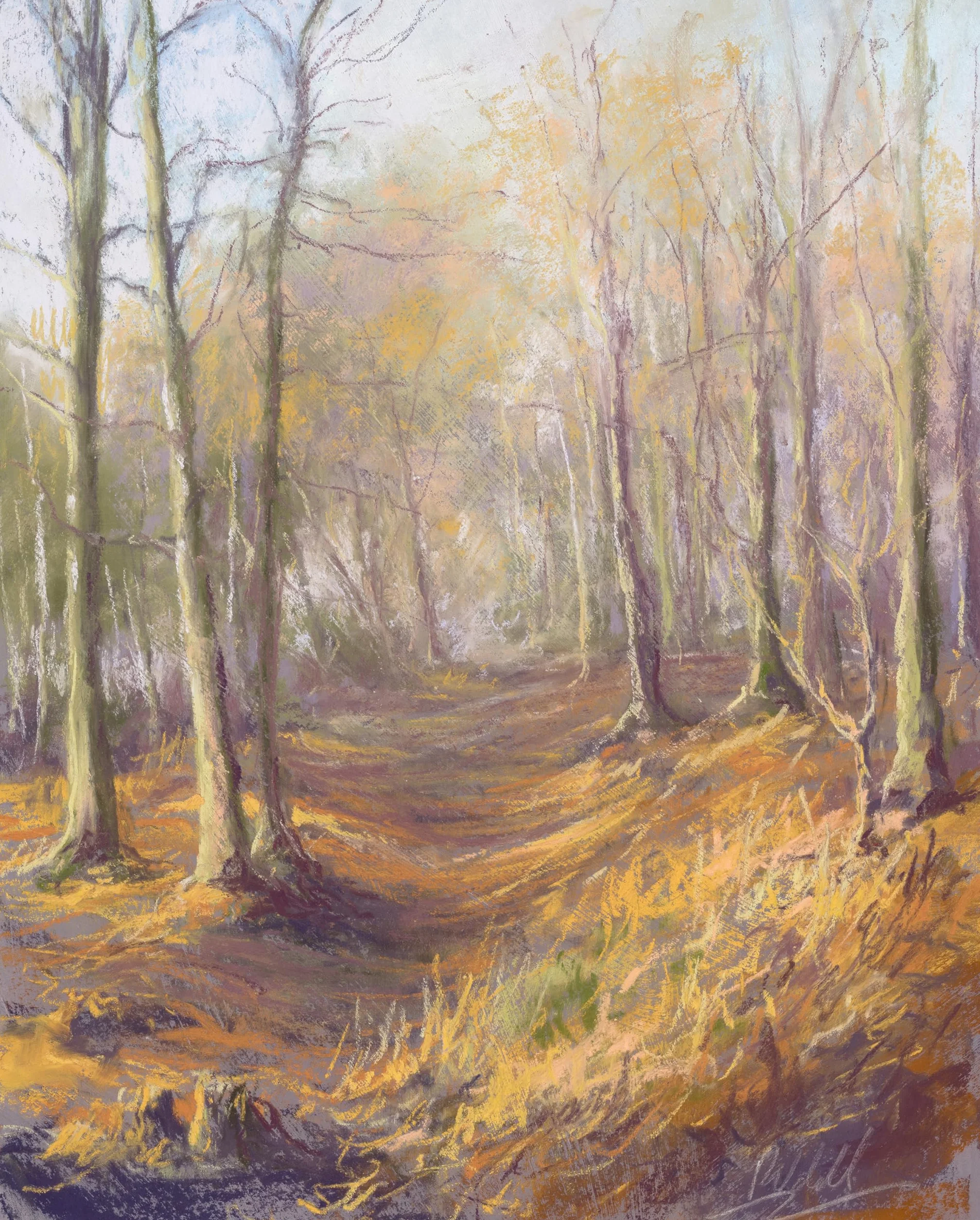 Pastels for the Absolute Beginner