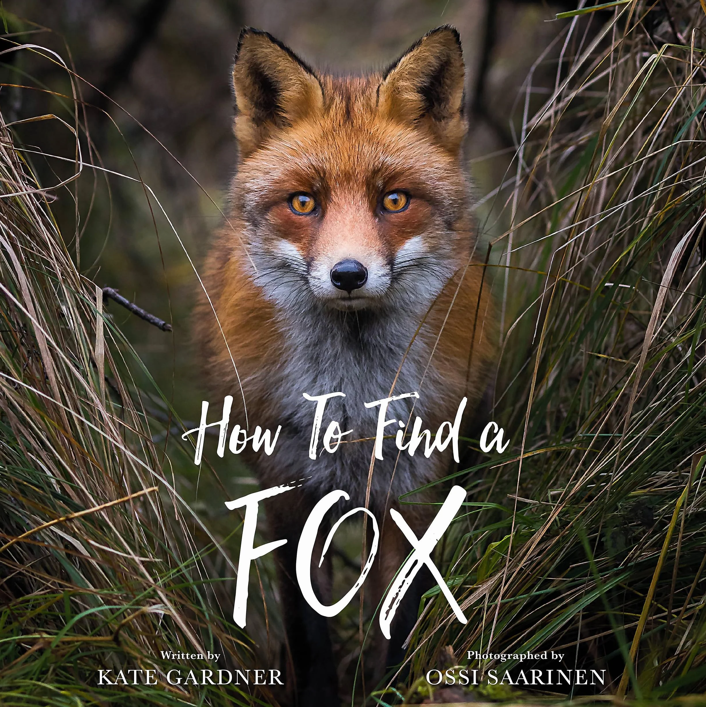 How to Find a Fox