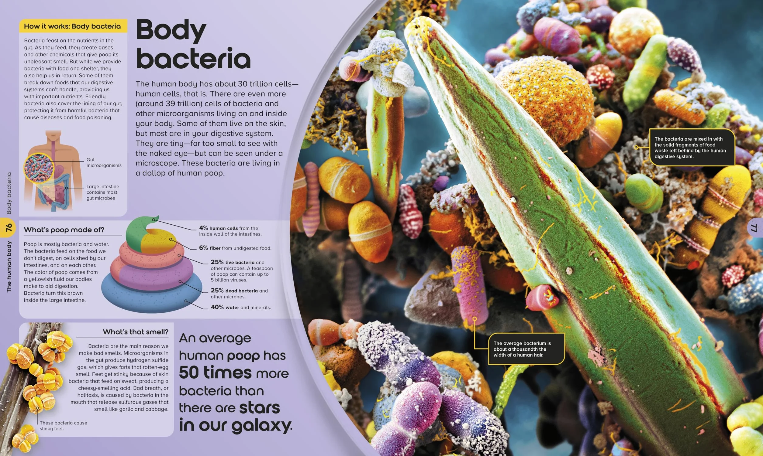The Miniverse: A Microscopic Journey Into Hidden Worlds