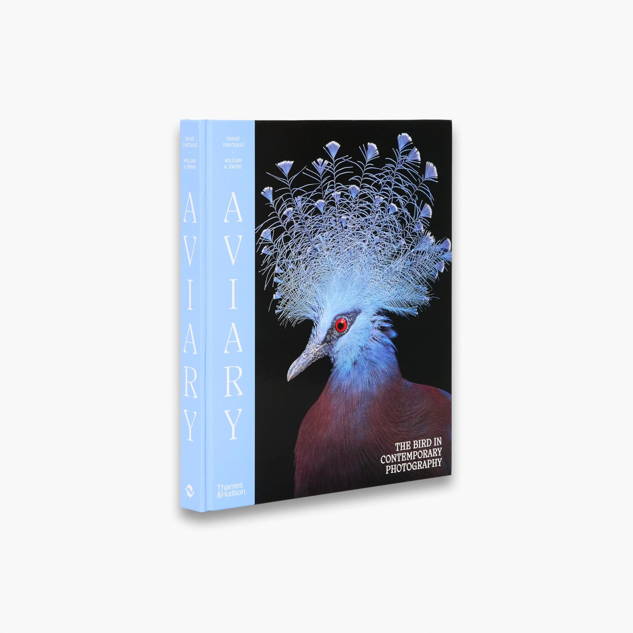 Aviary The Bird in Contemporary Photography /anglais