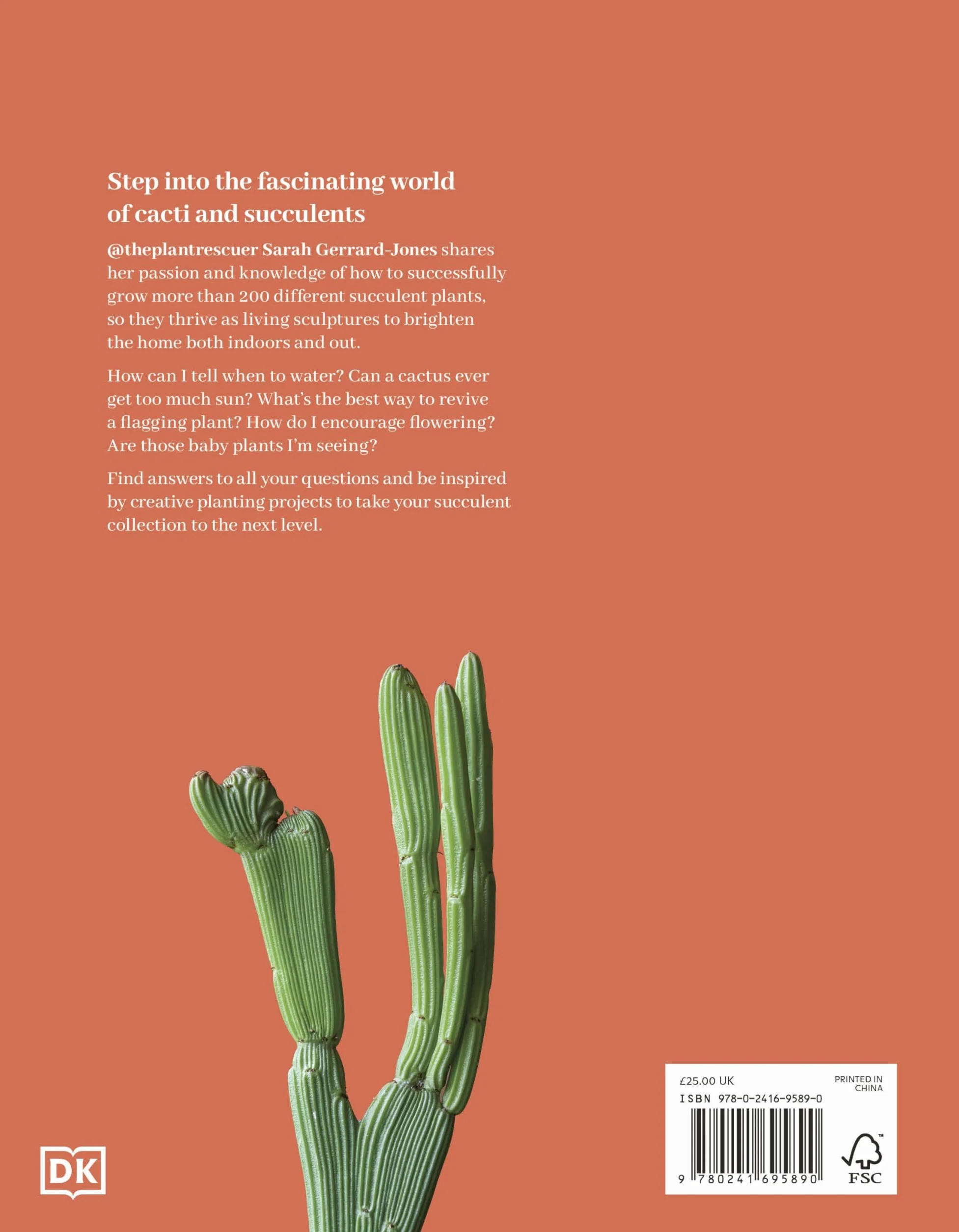 Cacti and Succulents: The Plant Rescuer's On-point Advice to Keep Your Plants Looking Sharp