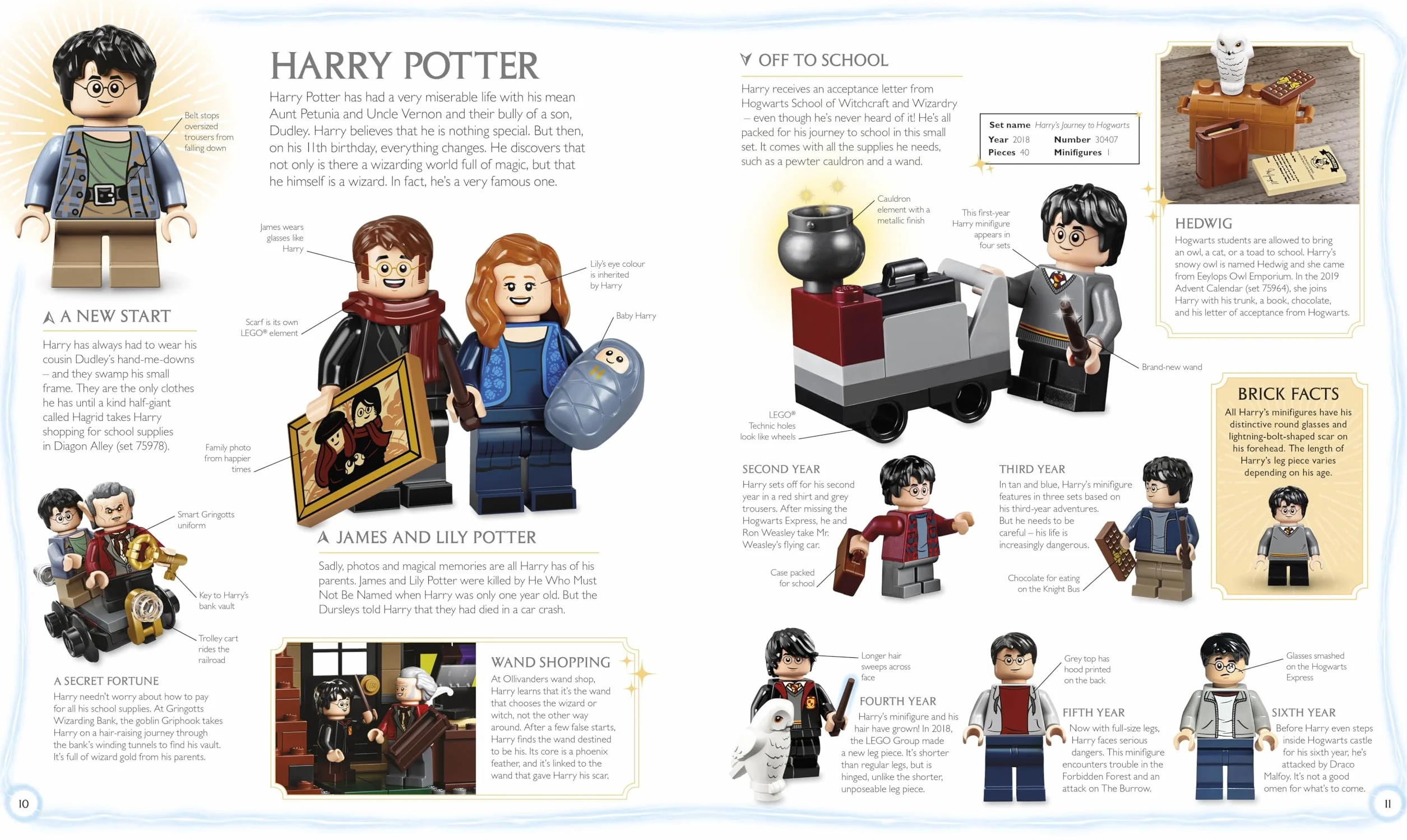 LEGO Harry Potter Visual Dictionary: With Exclusive Minifigure