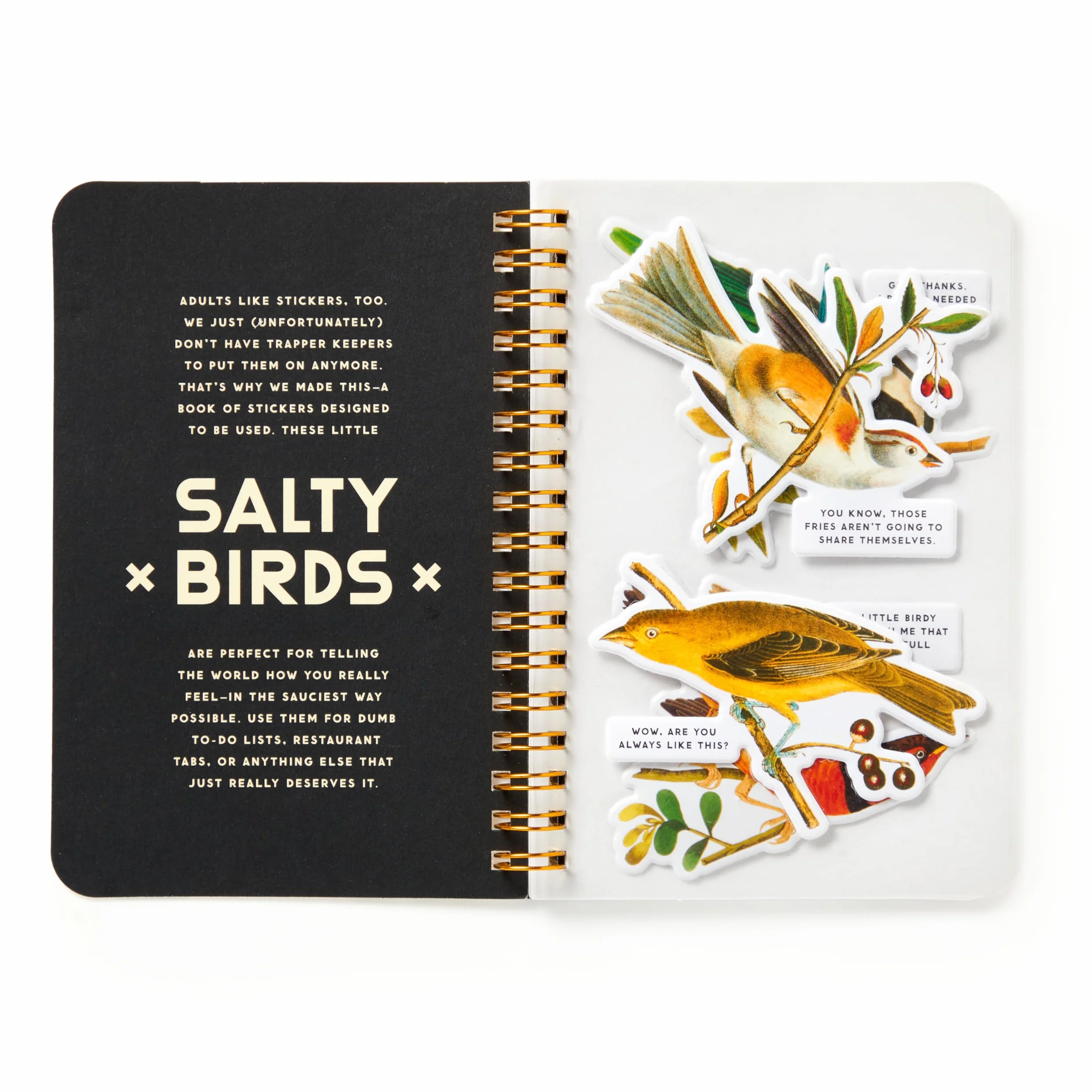 Salty Birds Sticker Book