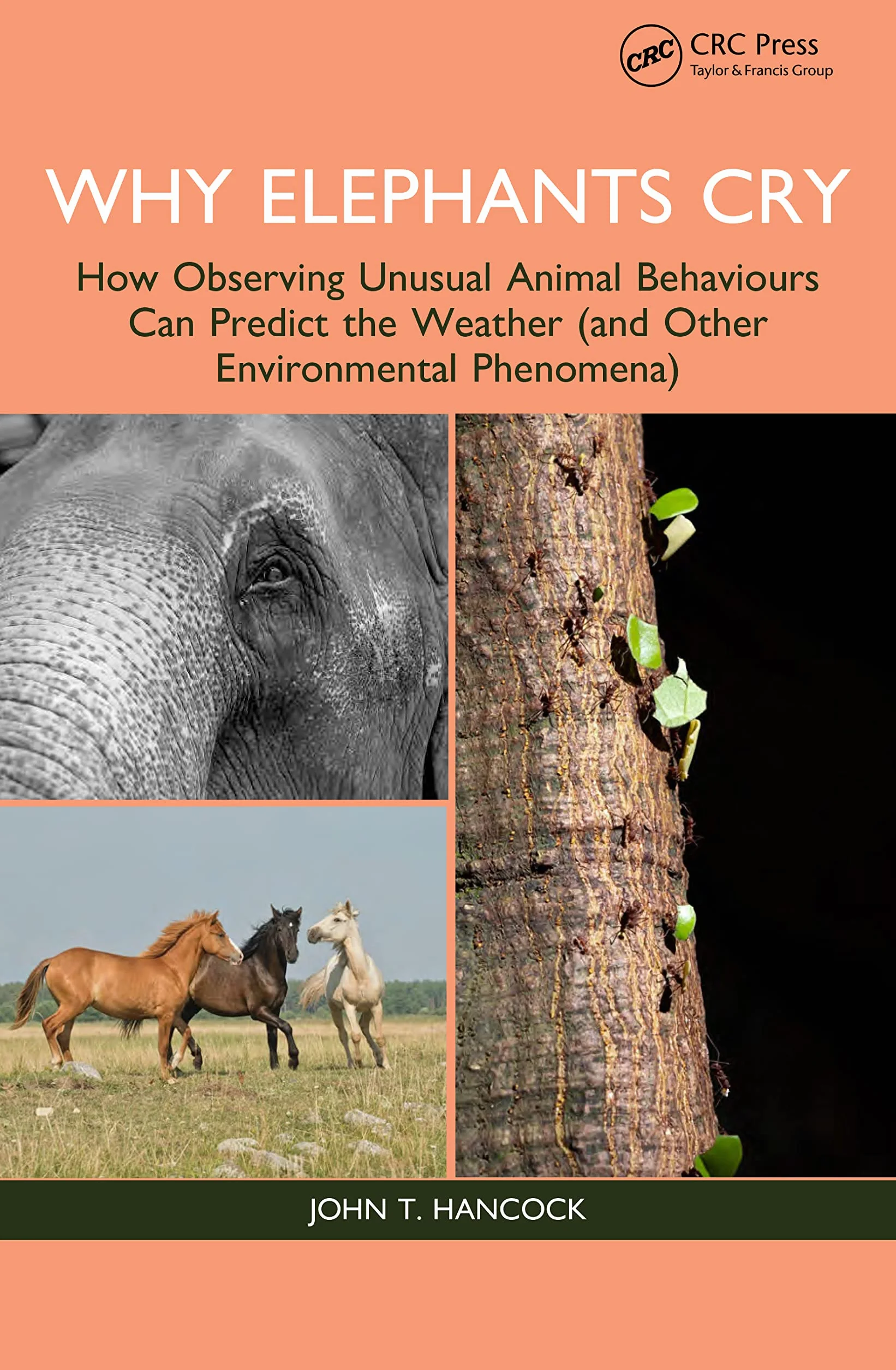 Why Elephants Cry: How Observing Unusual Animal Behaviours Can Predict the Weather (and Other Environmental Phenomena)