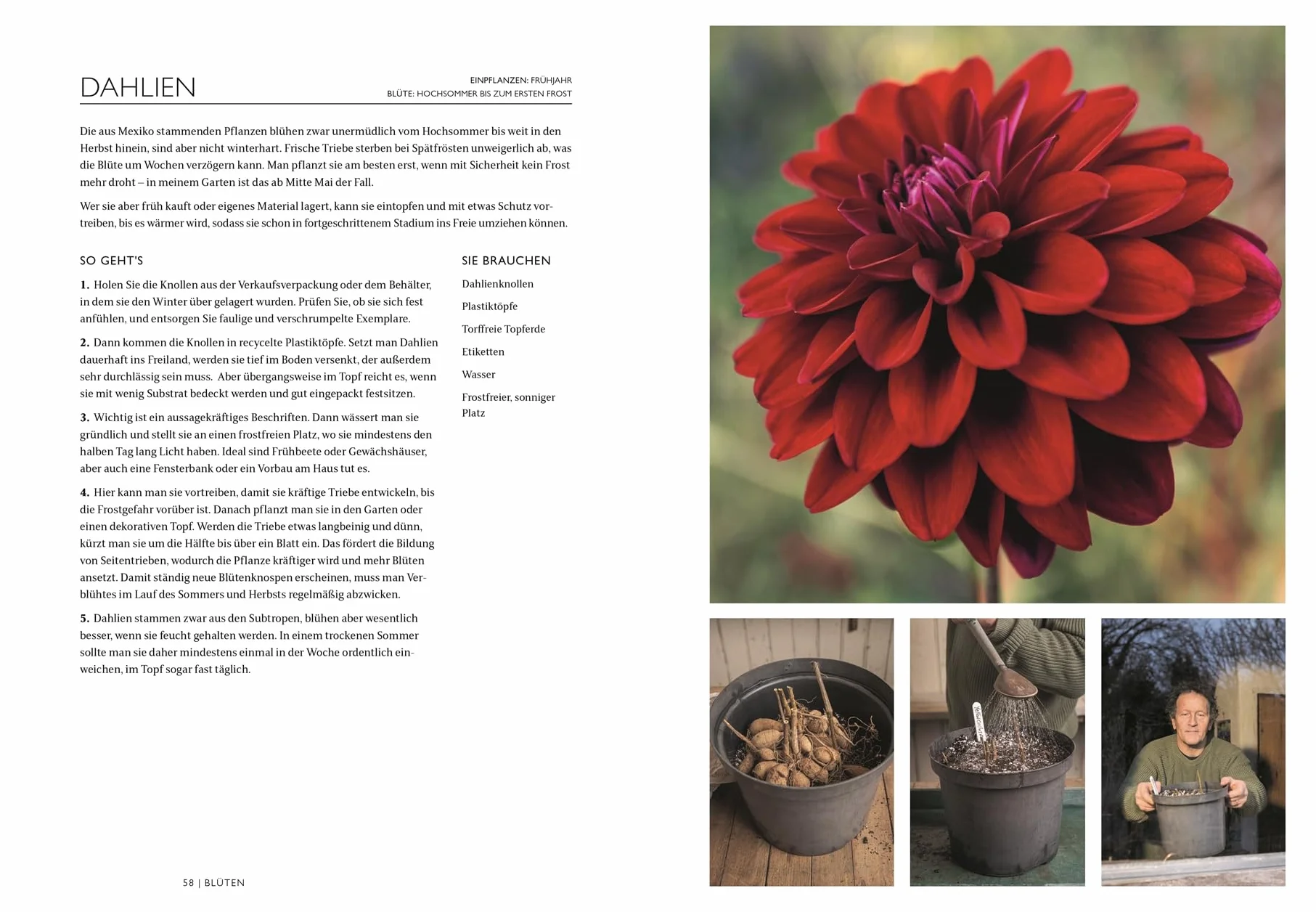 Das Gartenbuch: Umfassendes Expertenwissen für einen wunderschönen Zier- und Nutzgarten mit saisonalem Obst und Gemüse von Bestsellerautor Monty Don