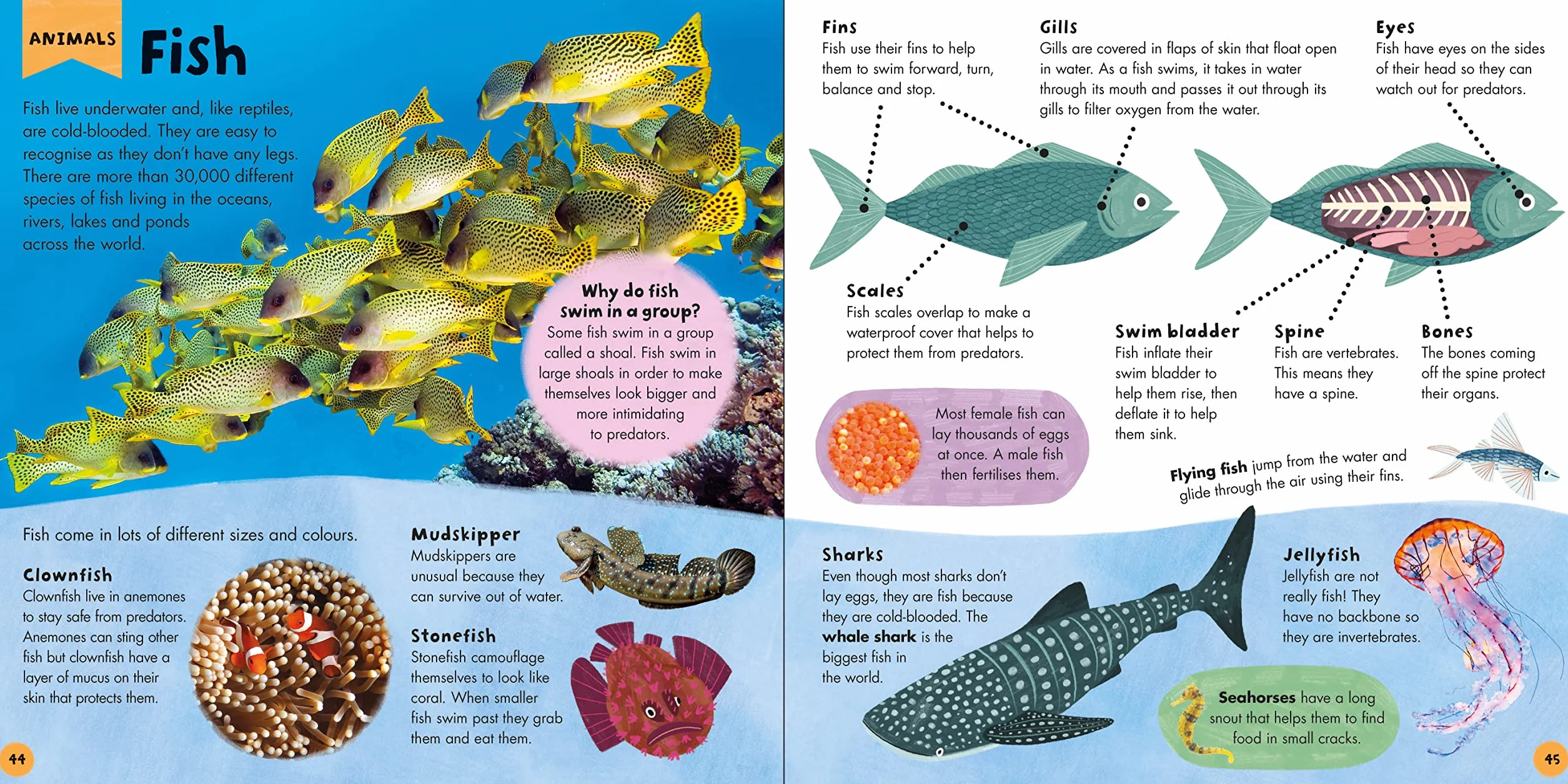 Priddy Learning: My First Encyclopedia