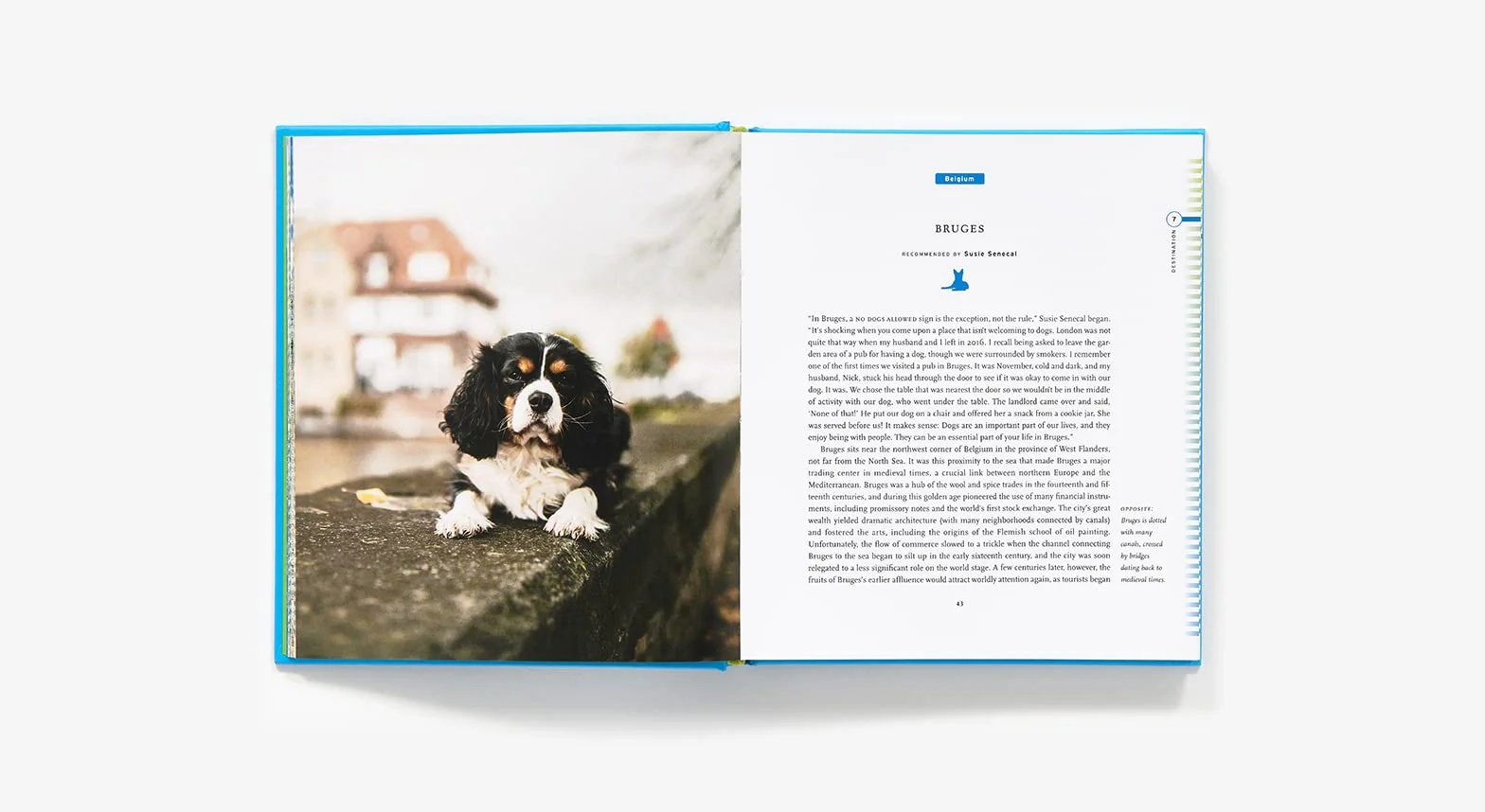 Fifty Places to Travel with Your Dog Before You Die: Dog Experts Share the World's Greatest Destinations