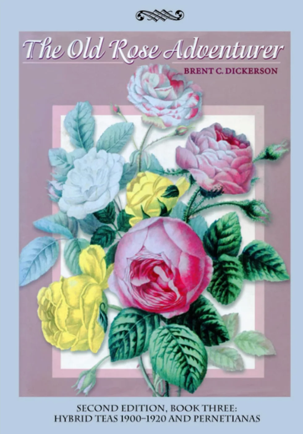 The Old Rose Adventurer Second Edition Book Three: Hybrid Teas 1900–1920 and Pernetianas