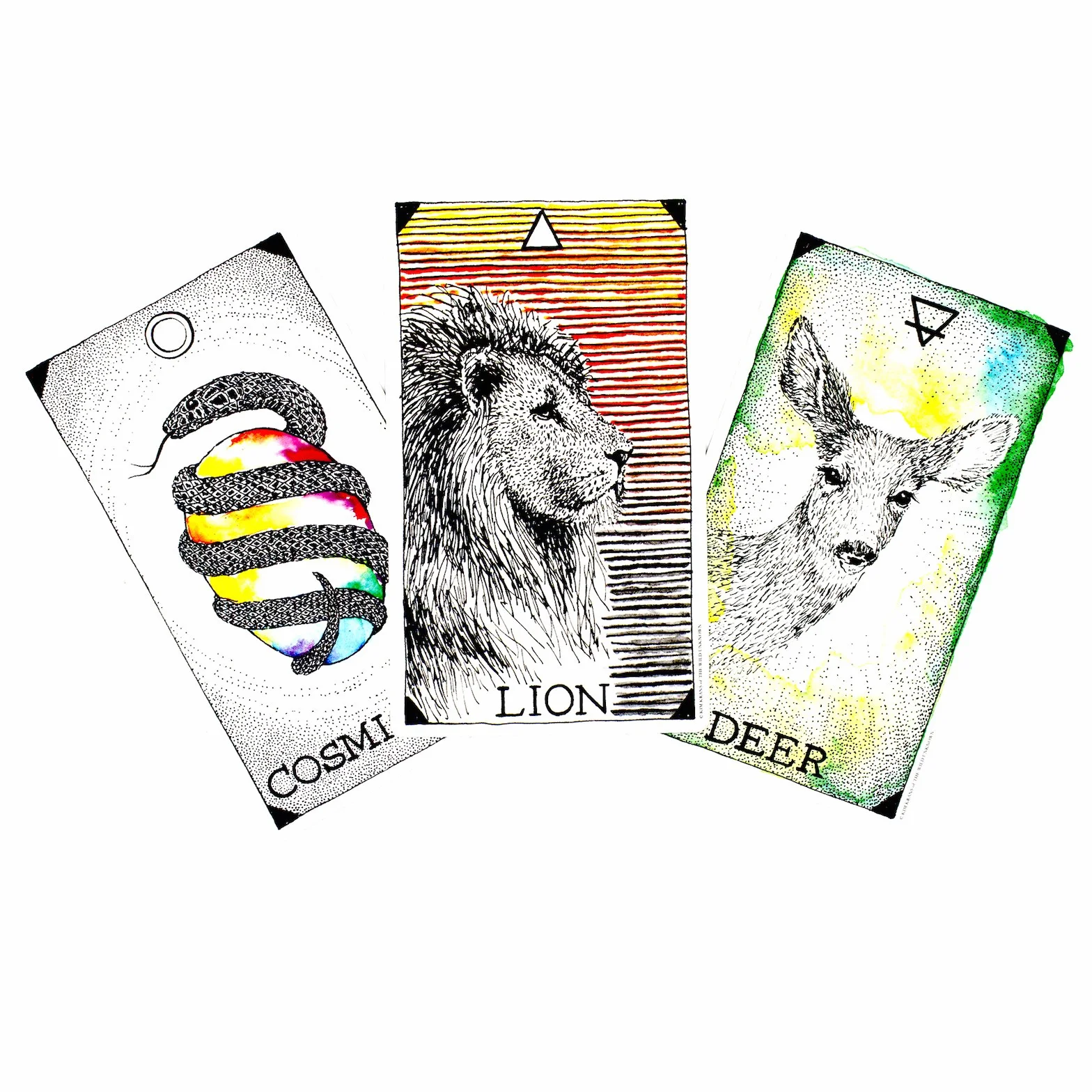 The Wild Unknown Animal Spirit Deck and Guidebook (Official Keepsake Box Set)