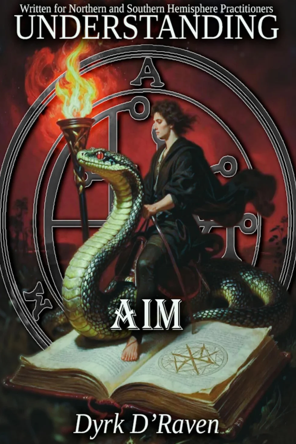 Understanding Aim