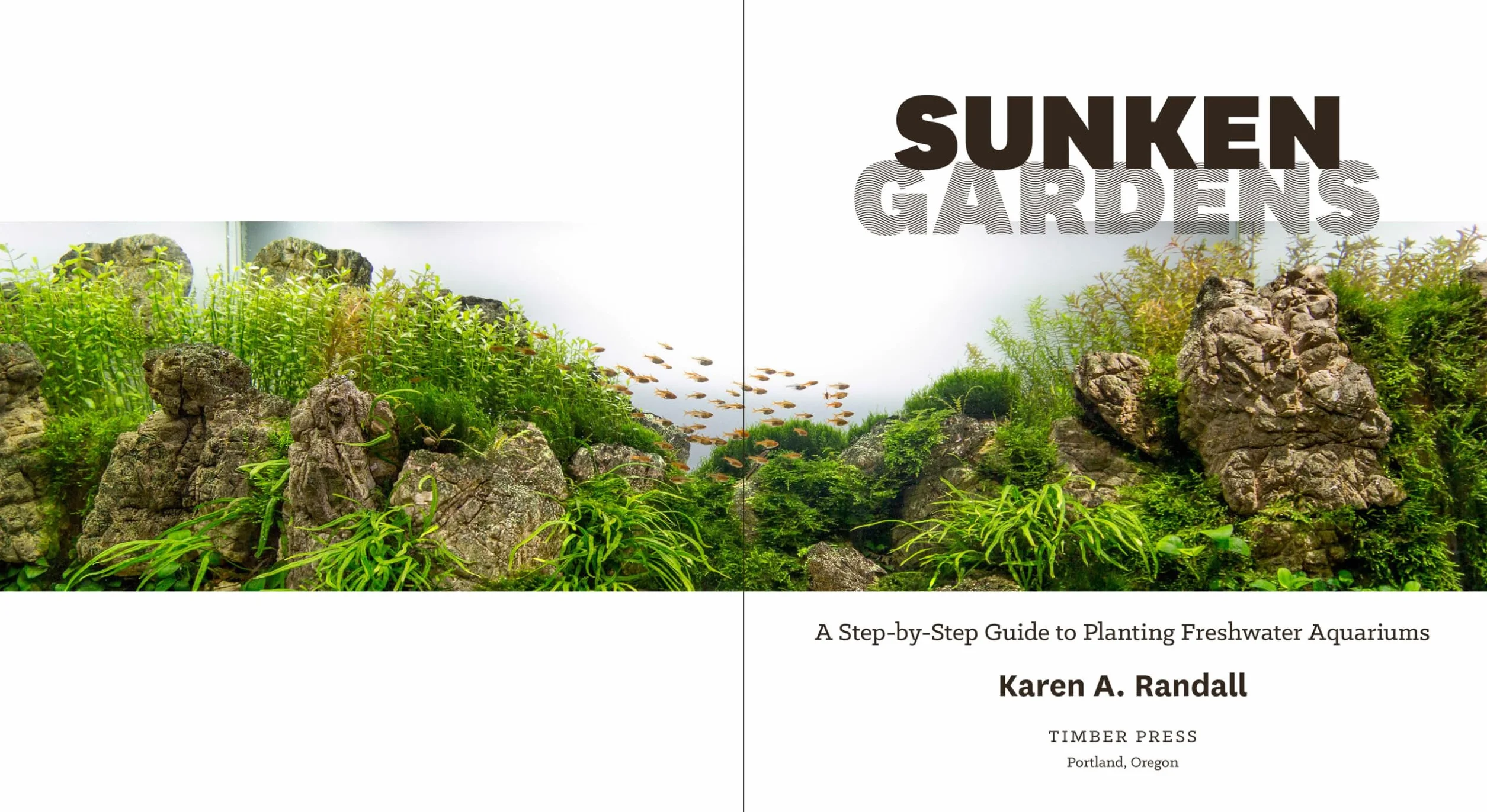 Sunken Gardens: A Step-By-Step Guide to Planting Freshwater Aquariums