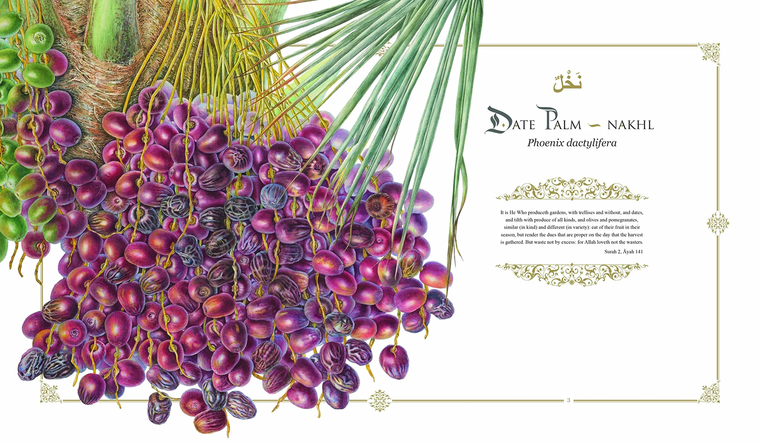 Plants of the Quran: History & Culture