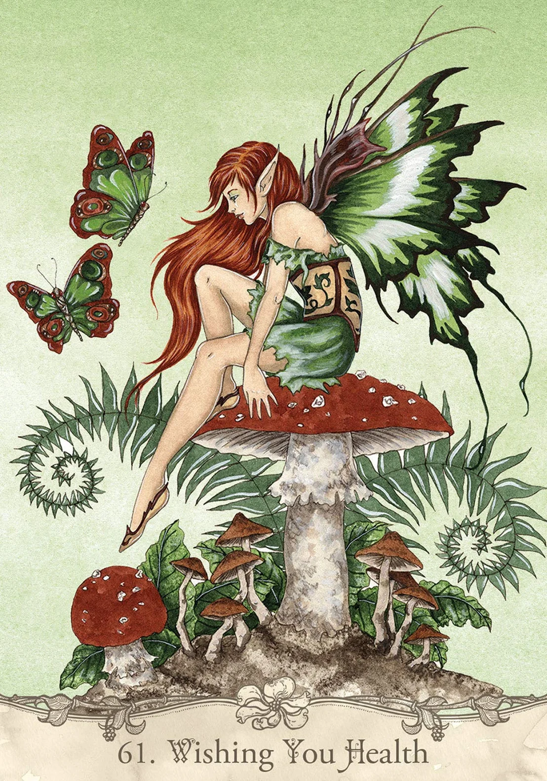 Fairy Wisdom Oracle Deck and Book Set