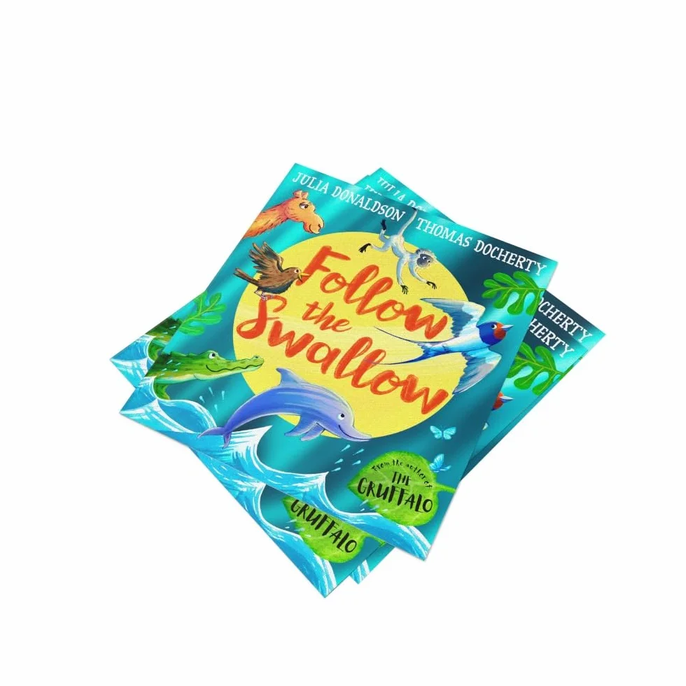 Follow the Swallow: A brilliantly funny illustrated children’s picture book about friendship from the author of The Gruffalo, perfect for ages 3 to 7