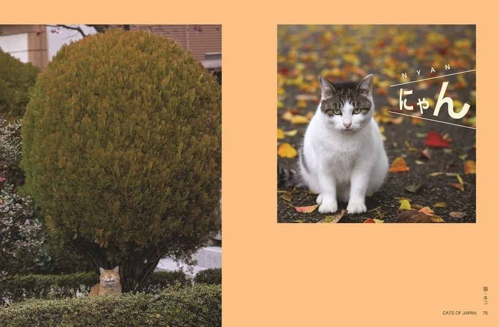 Neko : Cats of Japan /anglais