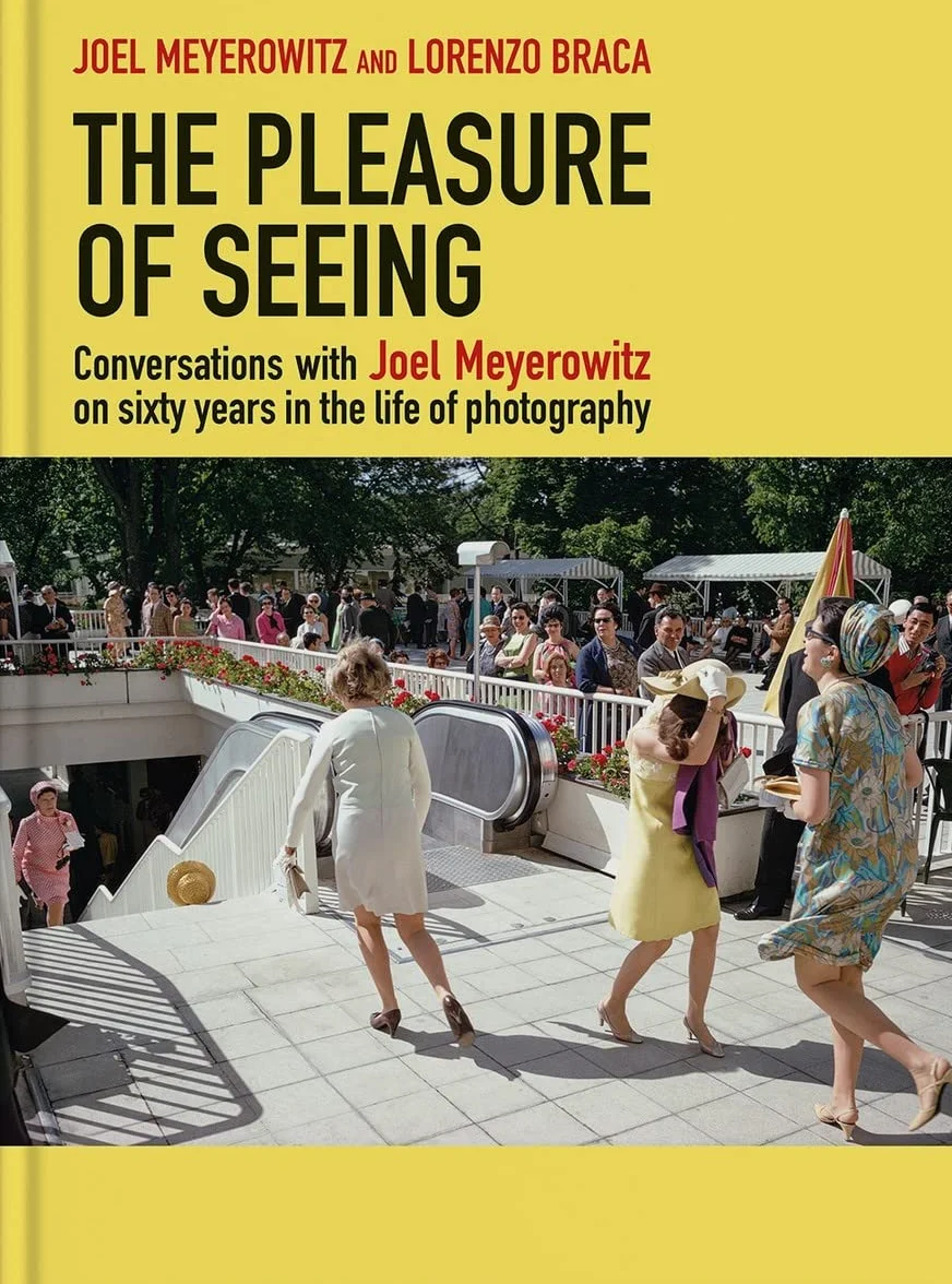 The Pleasure of Seeing: Conversations on Joel Meyerowitz's sixty years in the life of photography /a