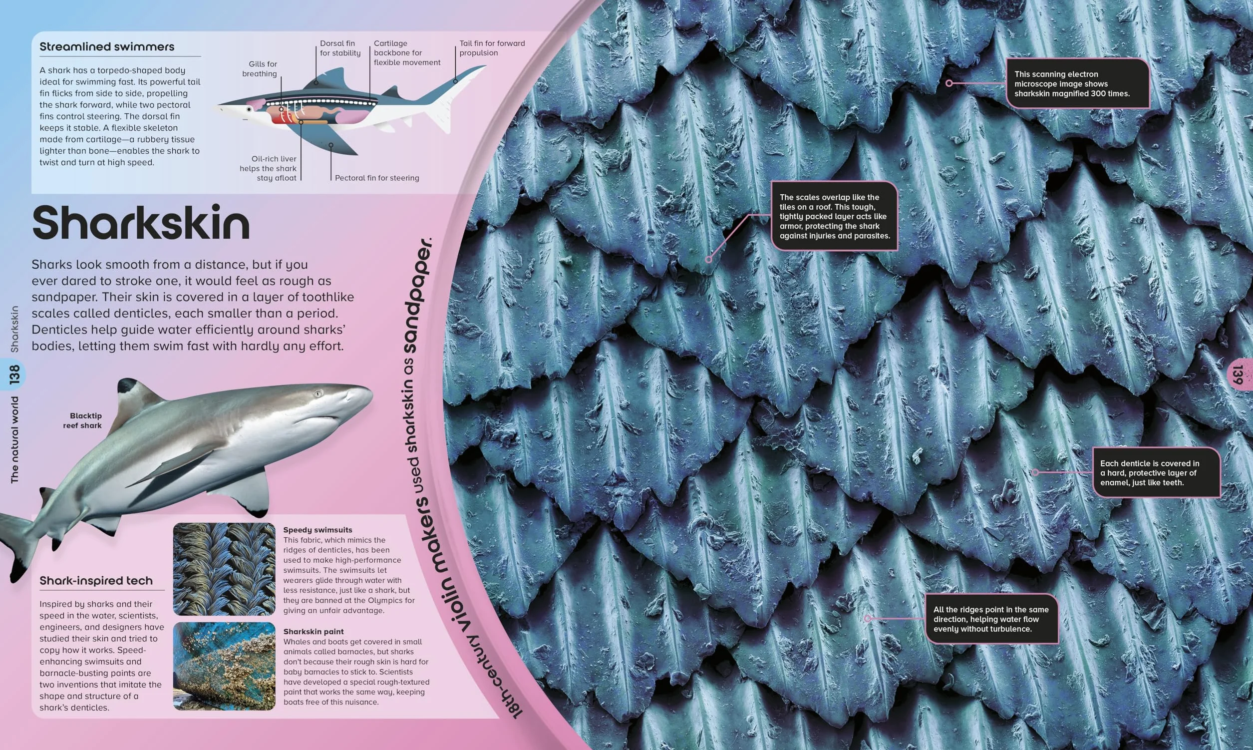 The Miniverse: A Microscopic Journey Into Hidden Worlds